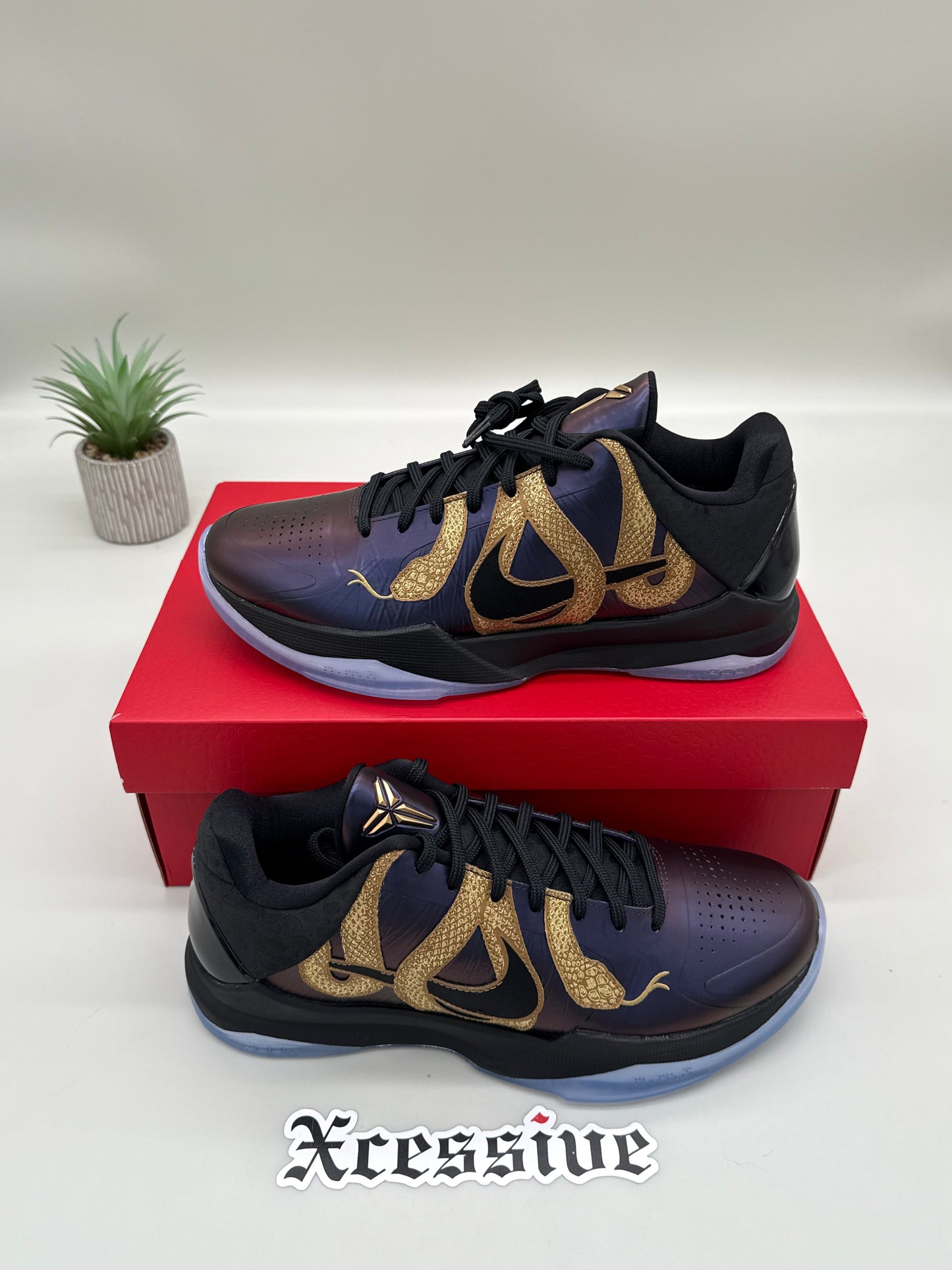 Nike Kobe 5 Eggplant