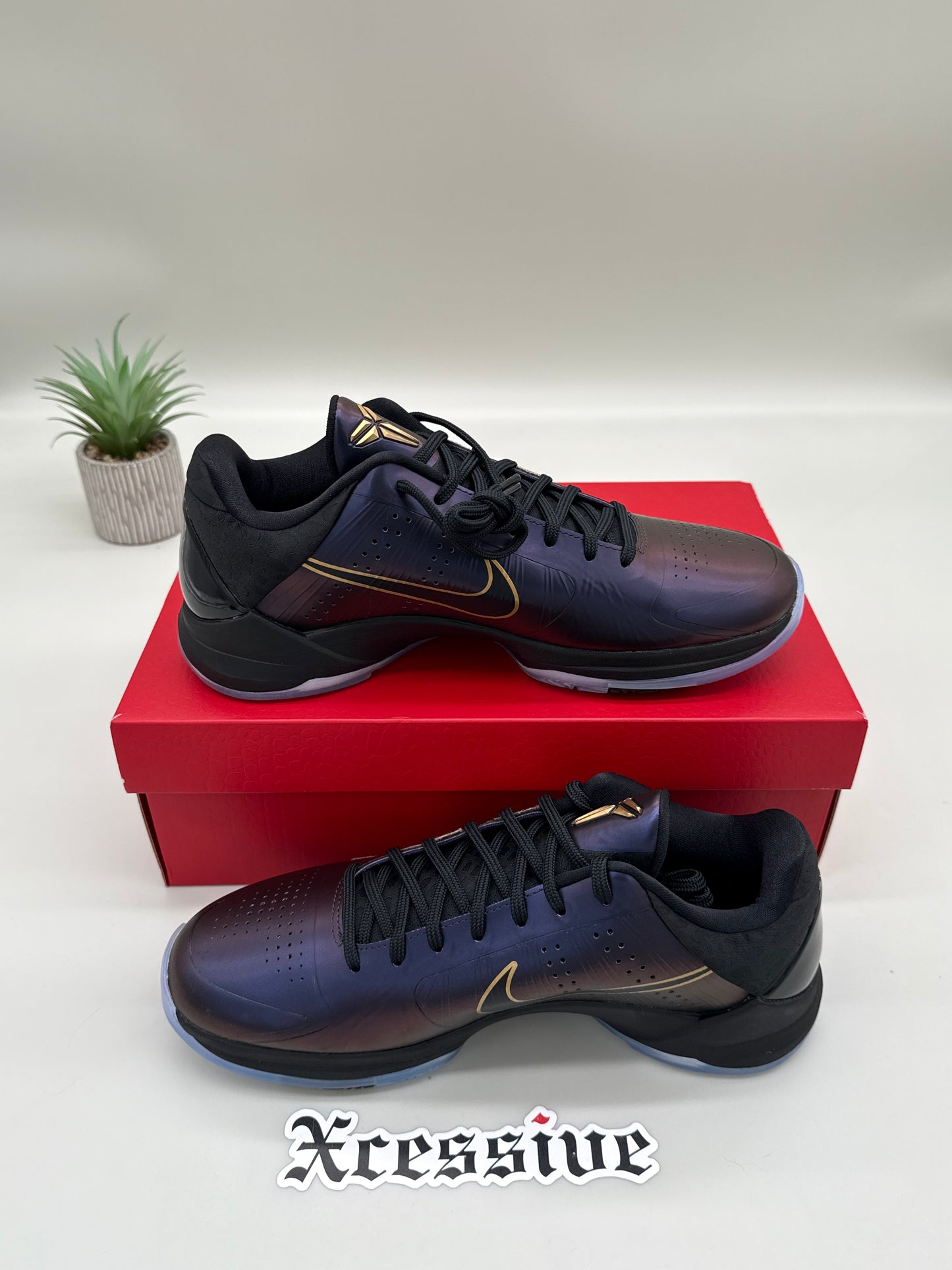 Nike Kobe 5 Eggplant