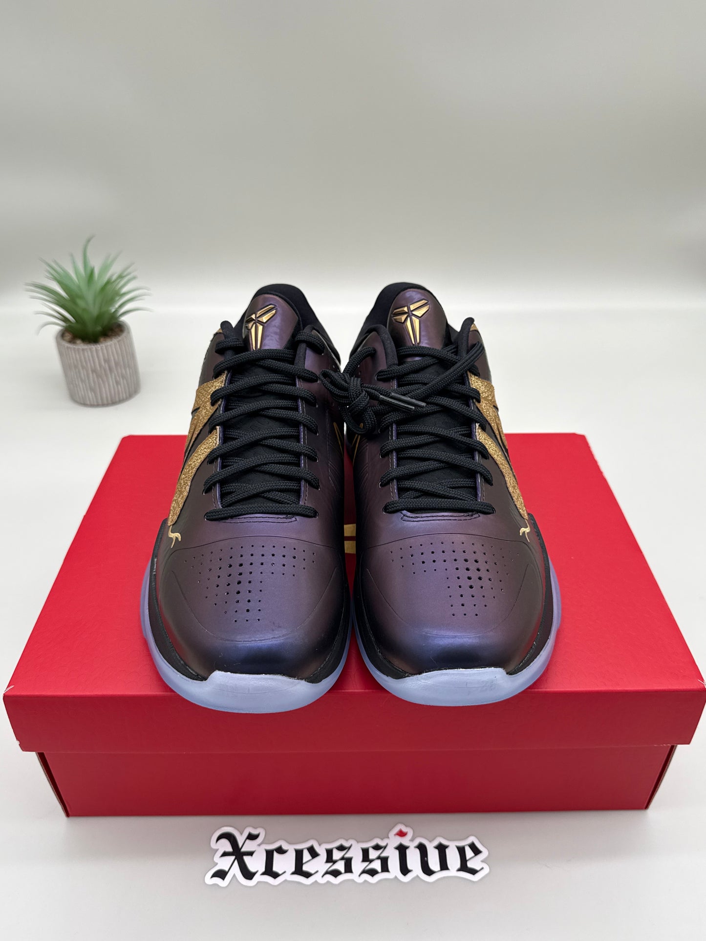 Nike Kobe 5 Eggplant