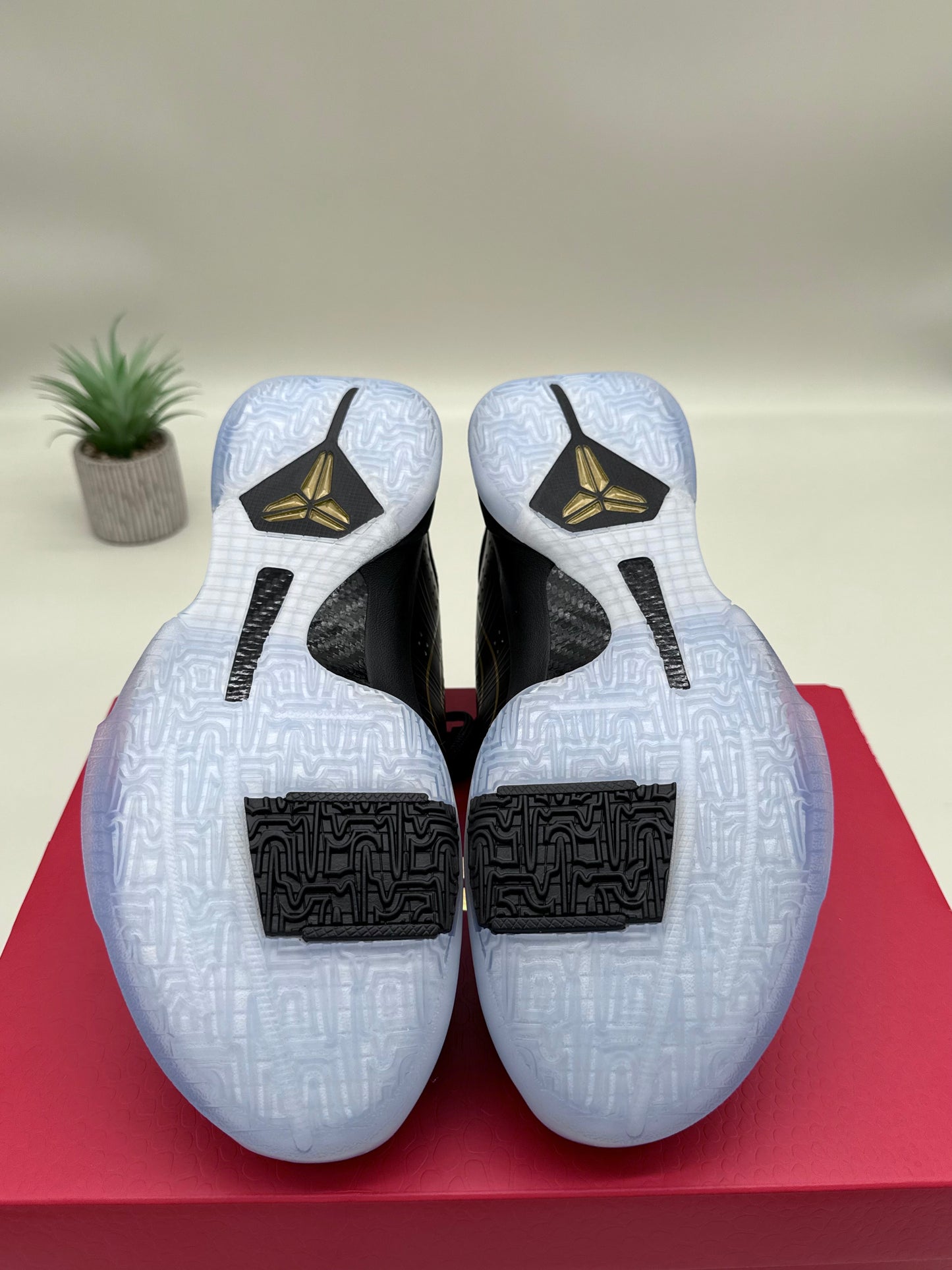 Nike Kobe 5 Eggplant