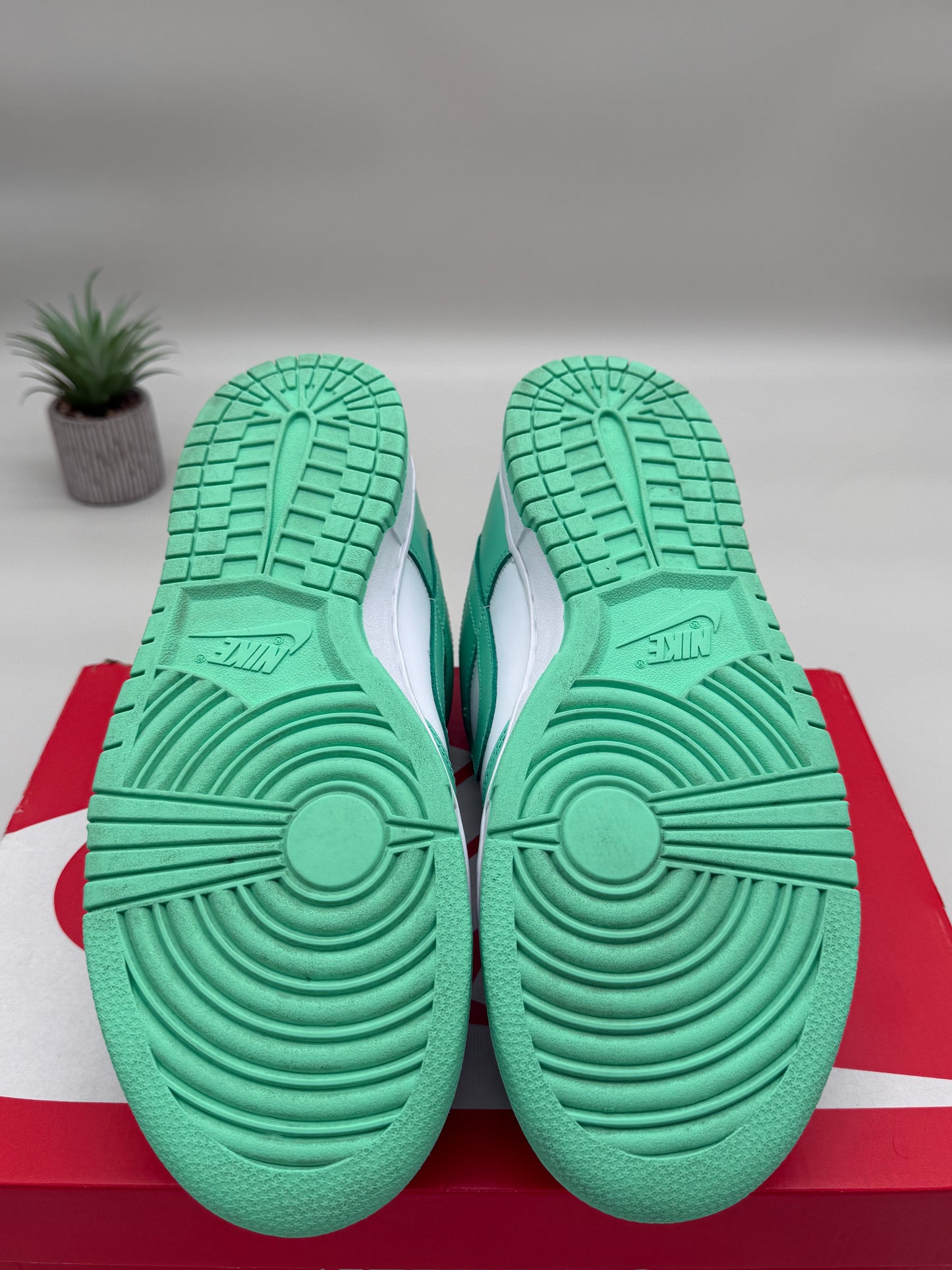 Nike Dunk Low Seafoam