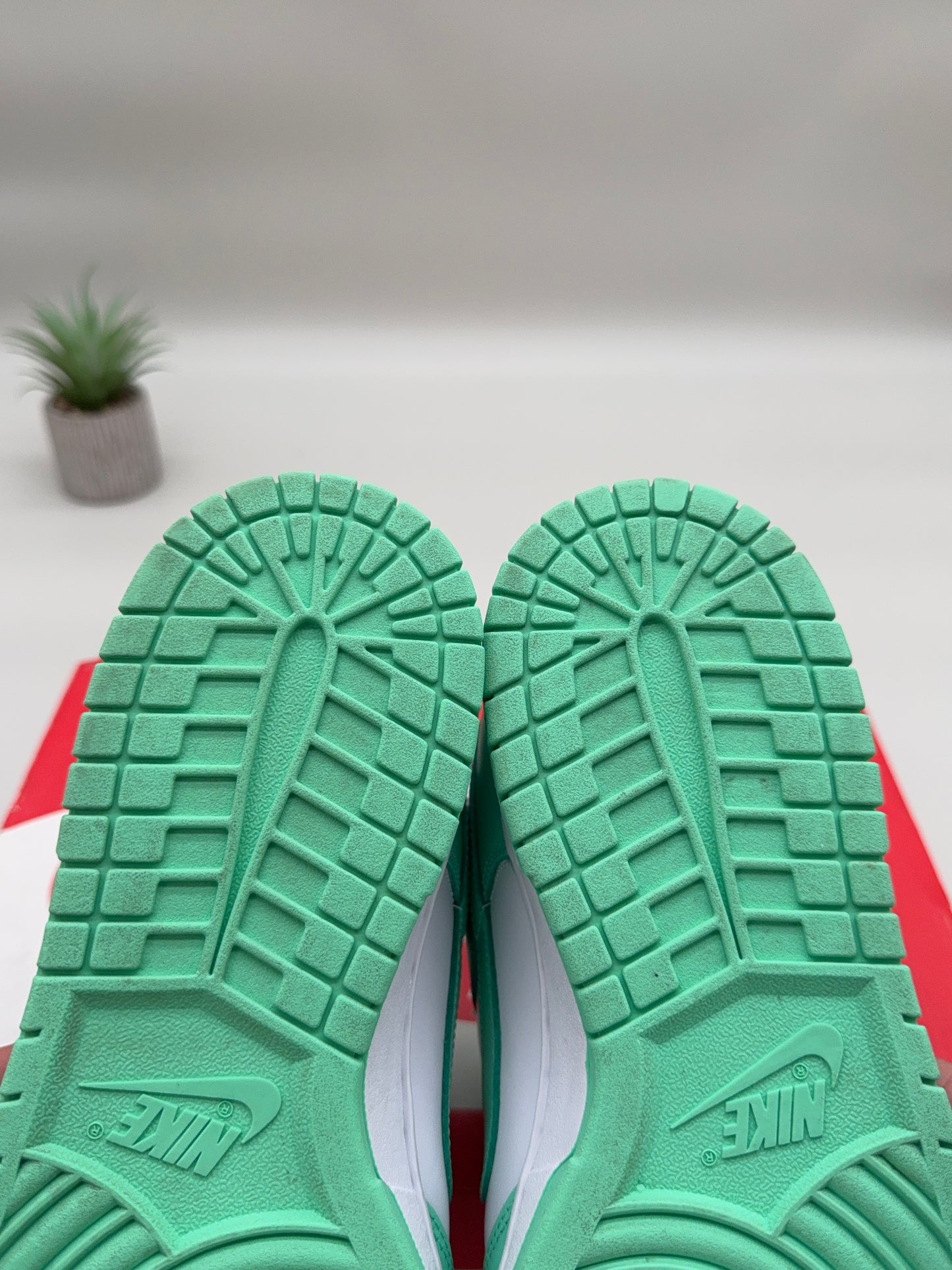 Nike Dunk Low Seafoam