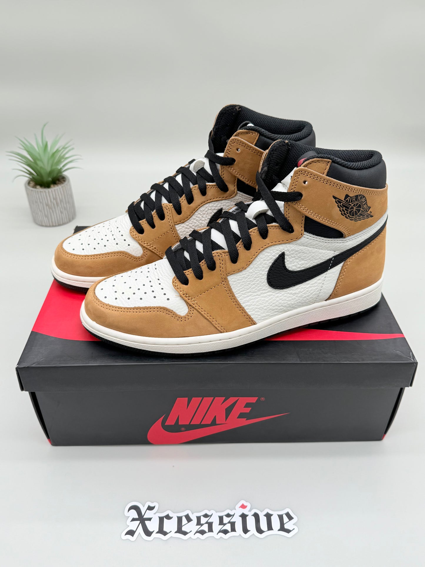Jordan 1 Rookie of the Year