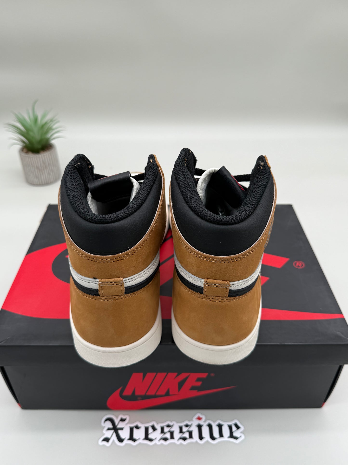 Jordan 1 Rookie of the Year