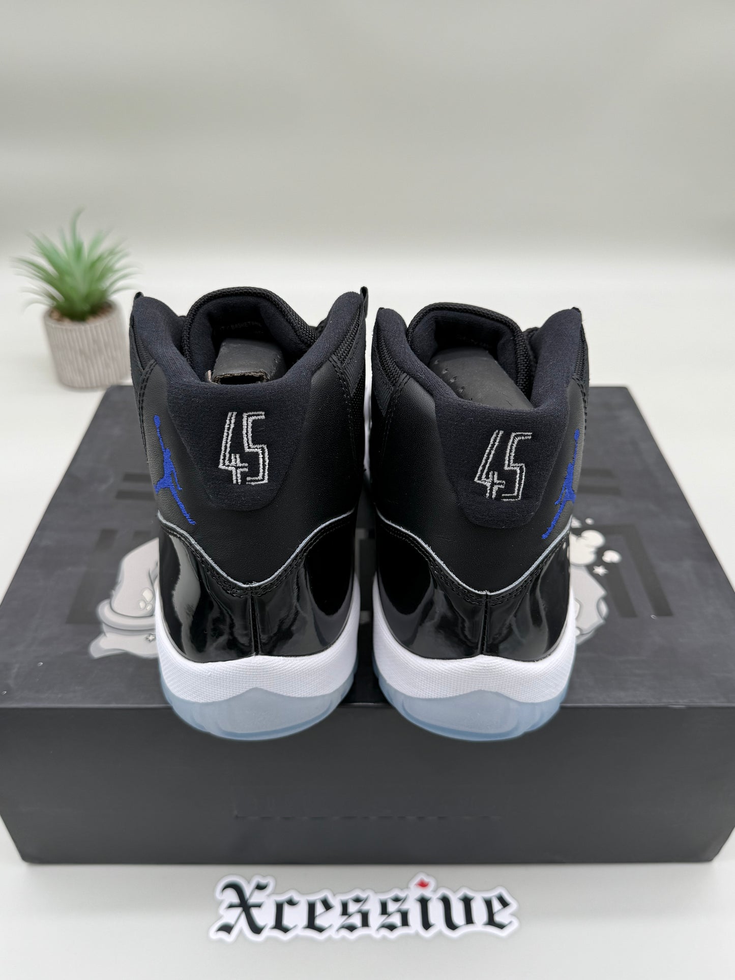 Jordan 11 Space Jam