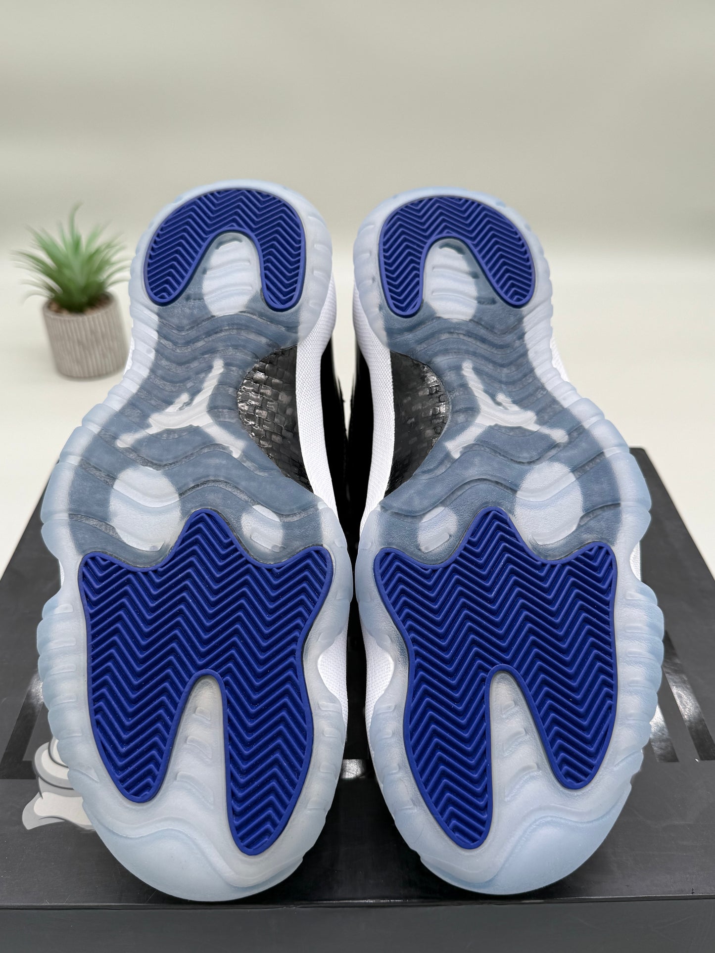 Jordan 11 Space Jam