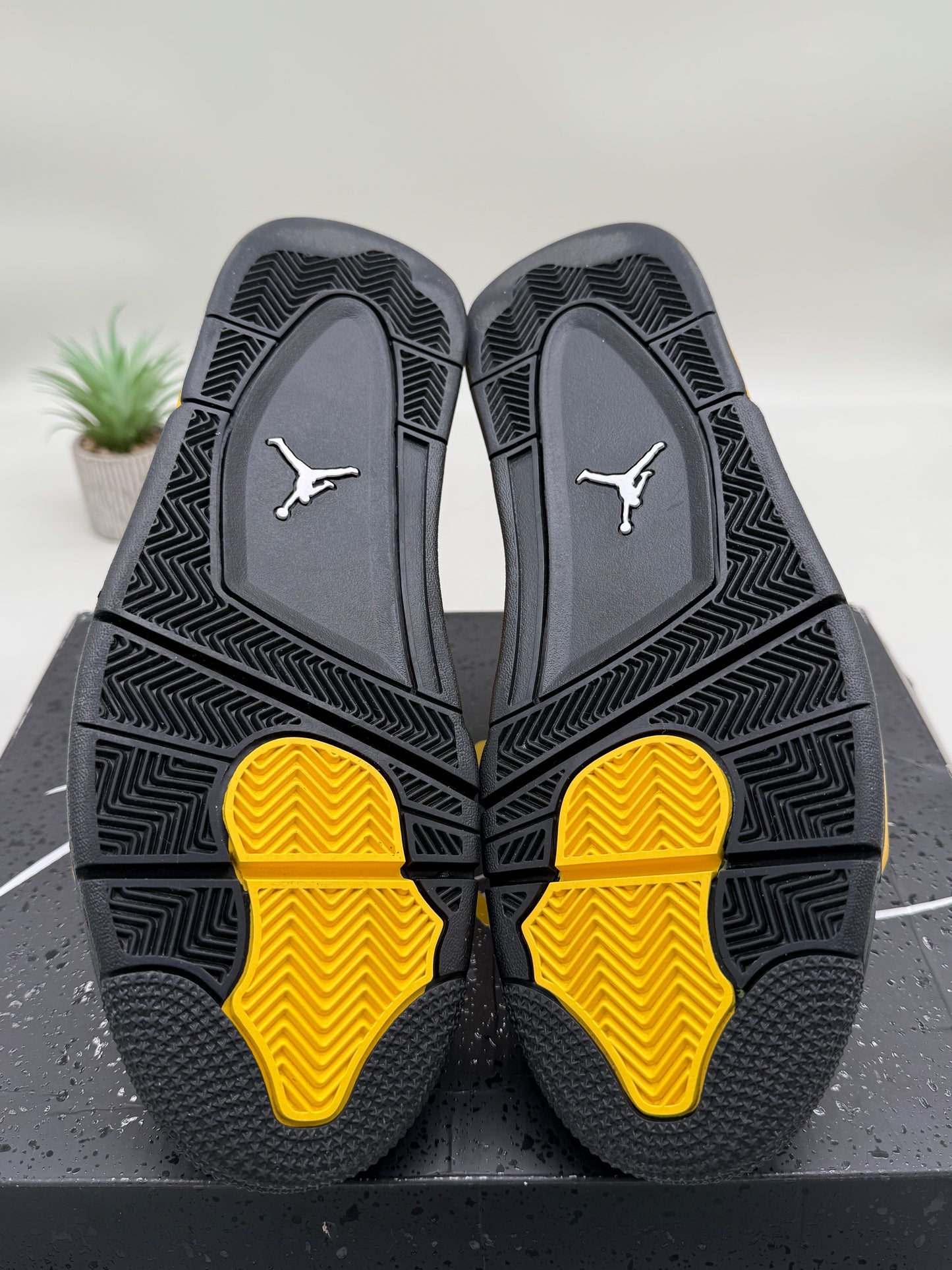 Jordan 4 Thunder