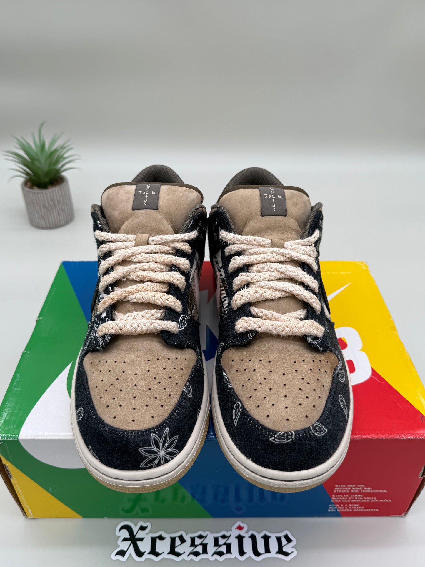 Nike SB Dunk Low Travis Scott