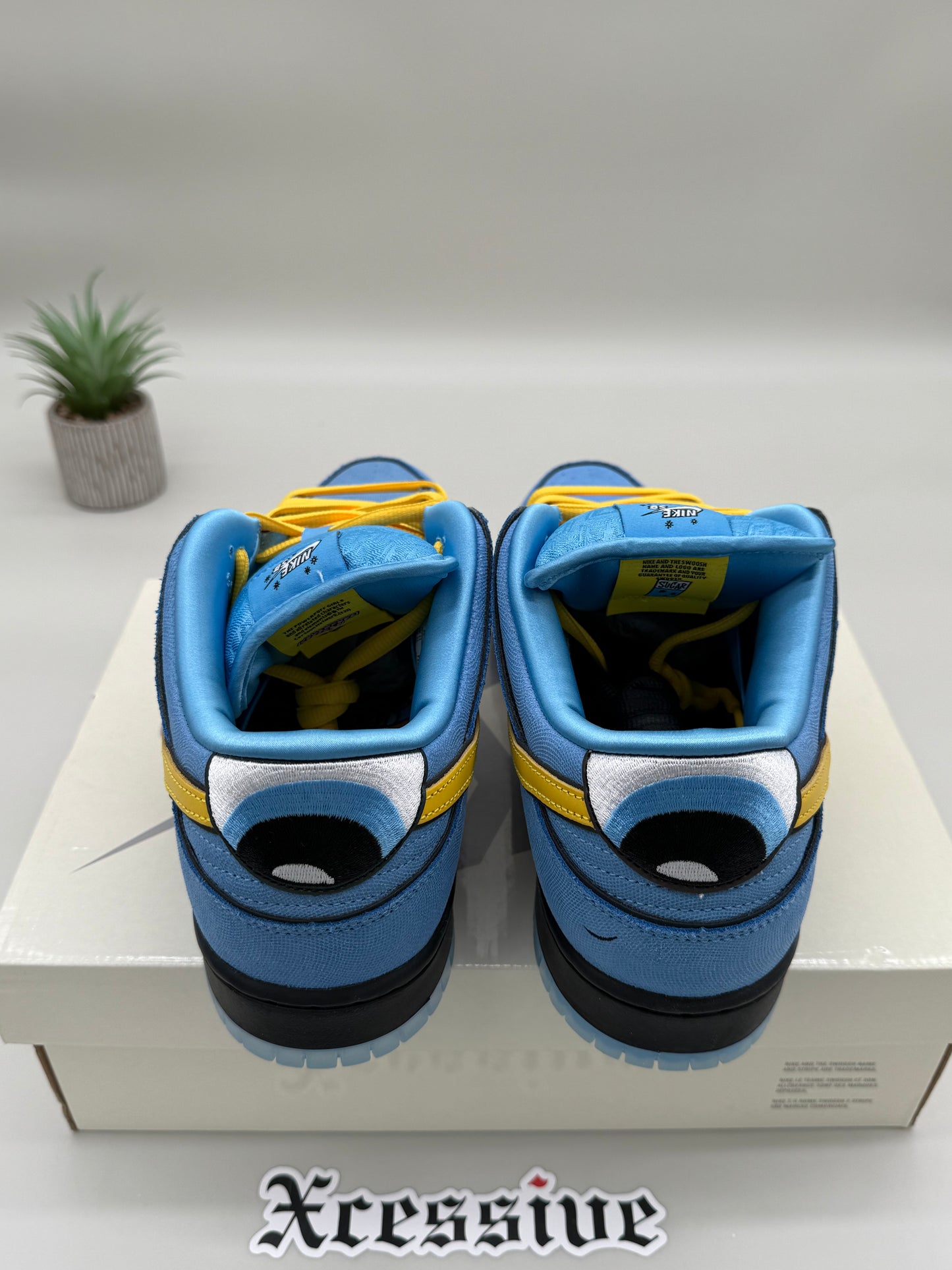 Nike SB Dunk Low The Powerpuff Girls Bubbles