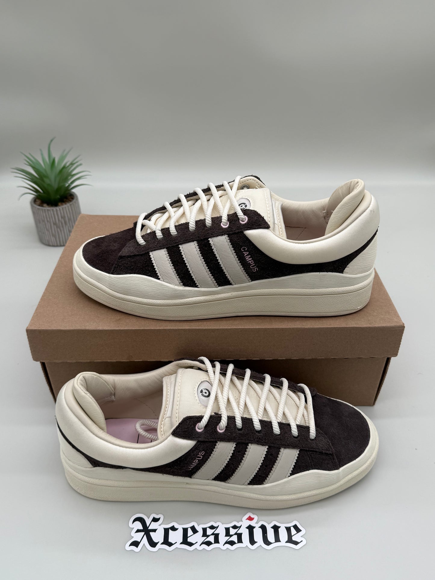 adidas Bad Bunny The Last Campus