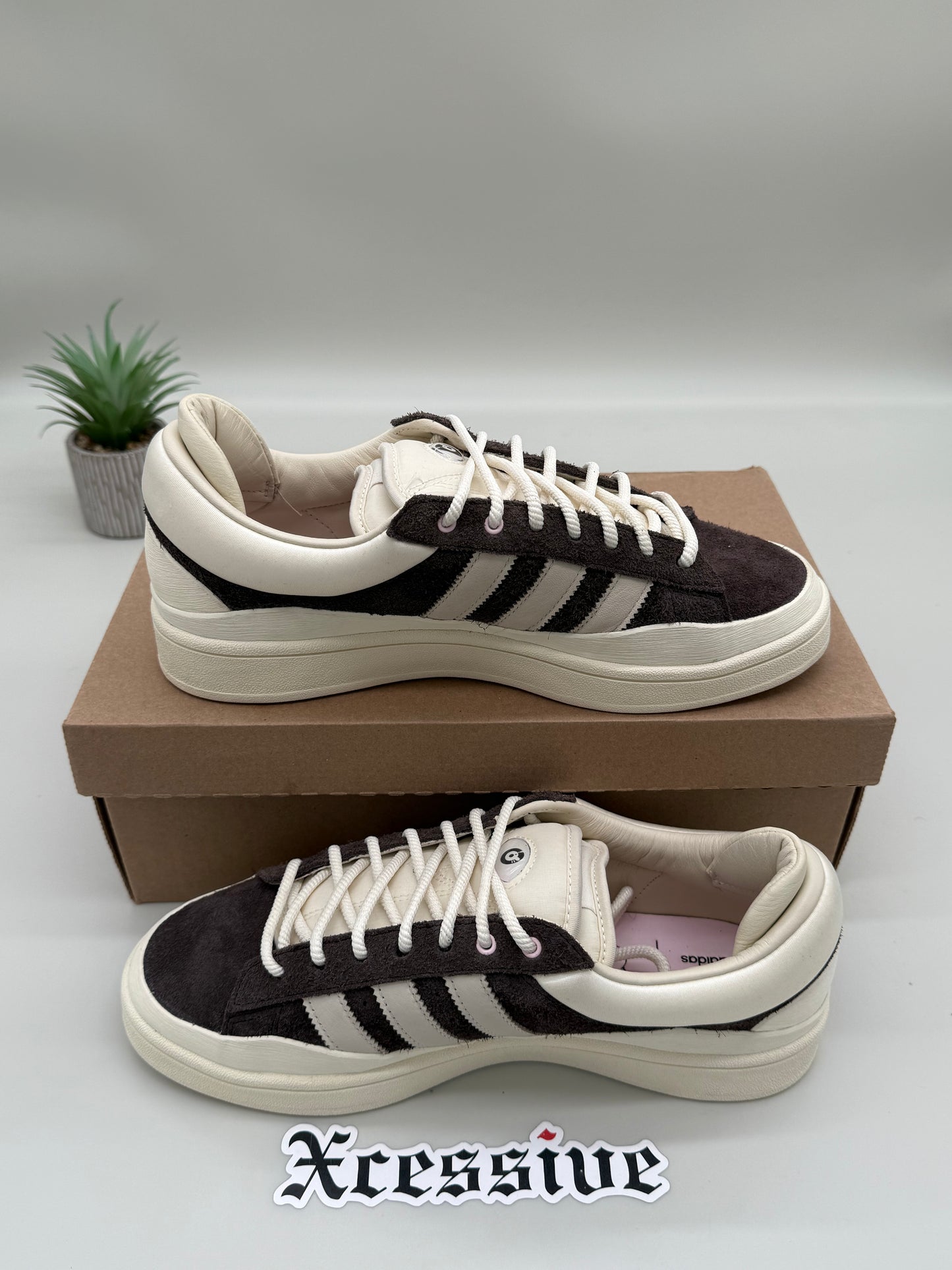 adidas Bad Bunny The Last Campus