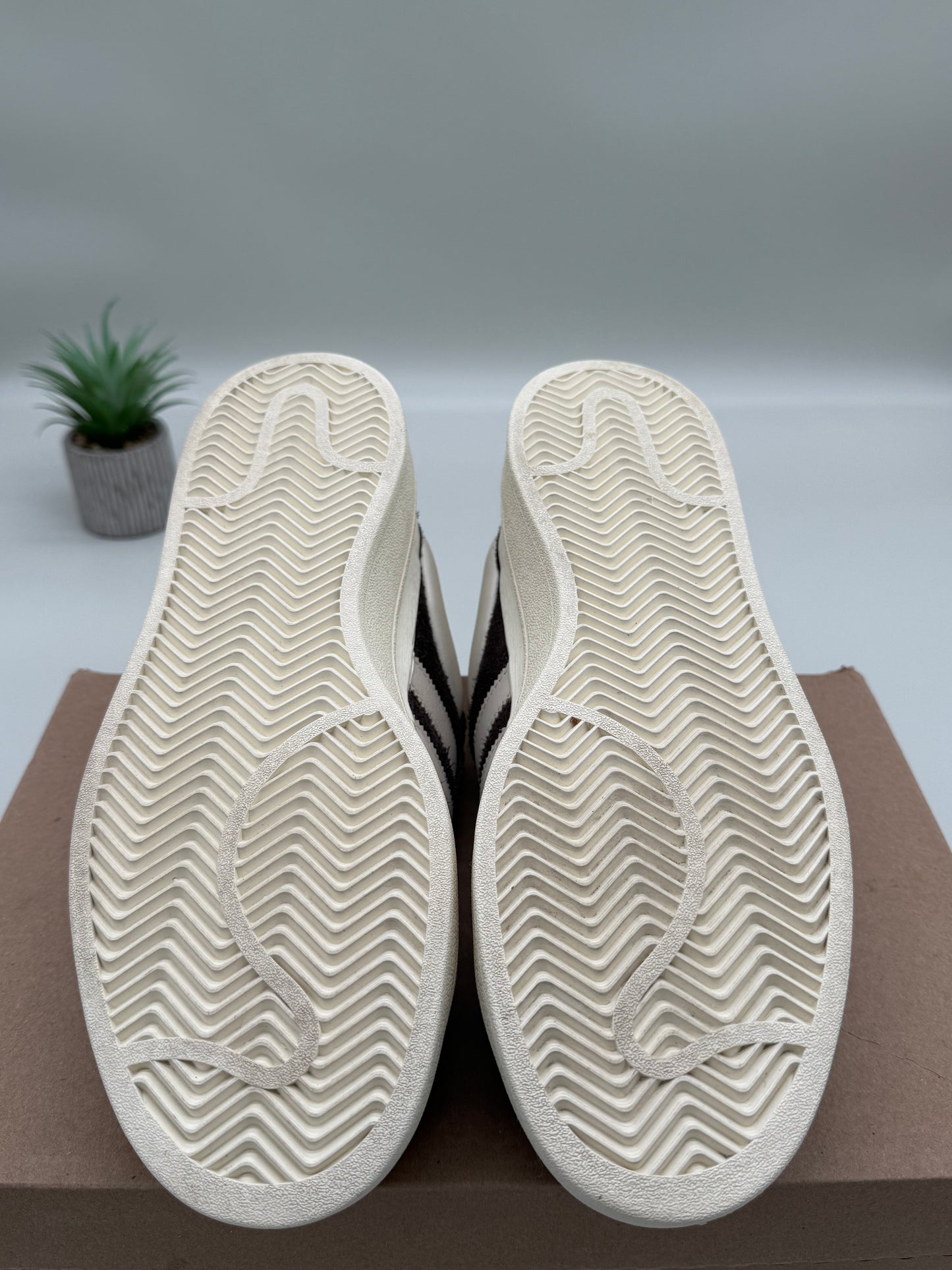 adidas Bad Bunny The Last Campus