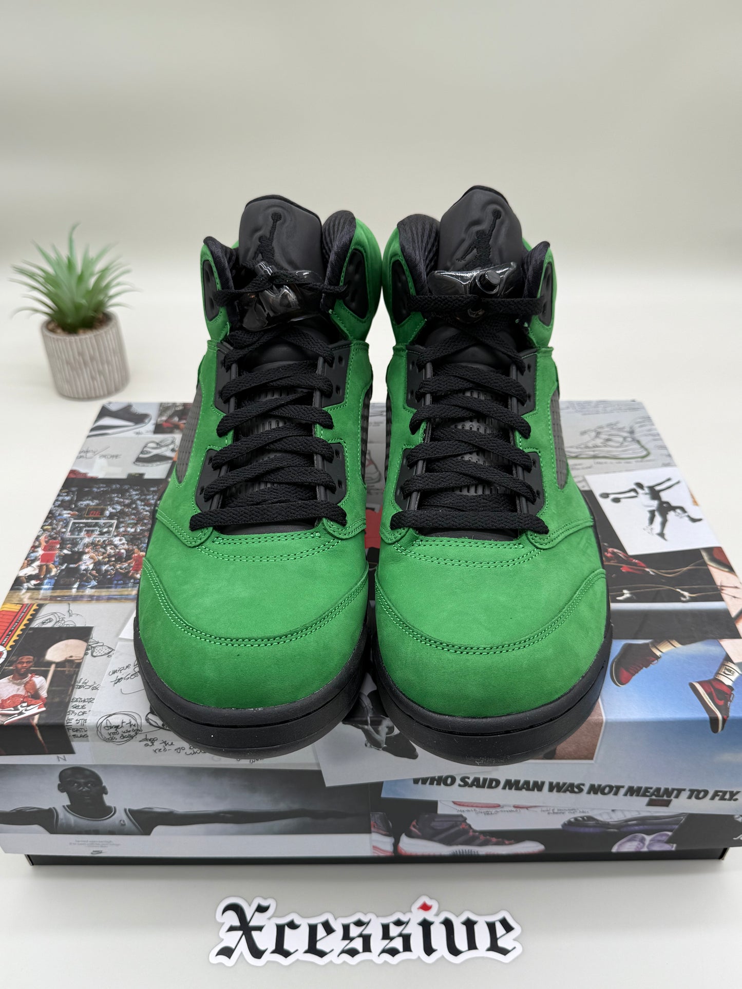 Jordan 5 Oregon