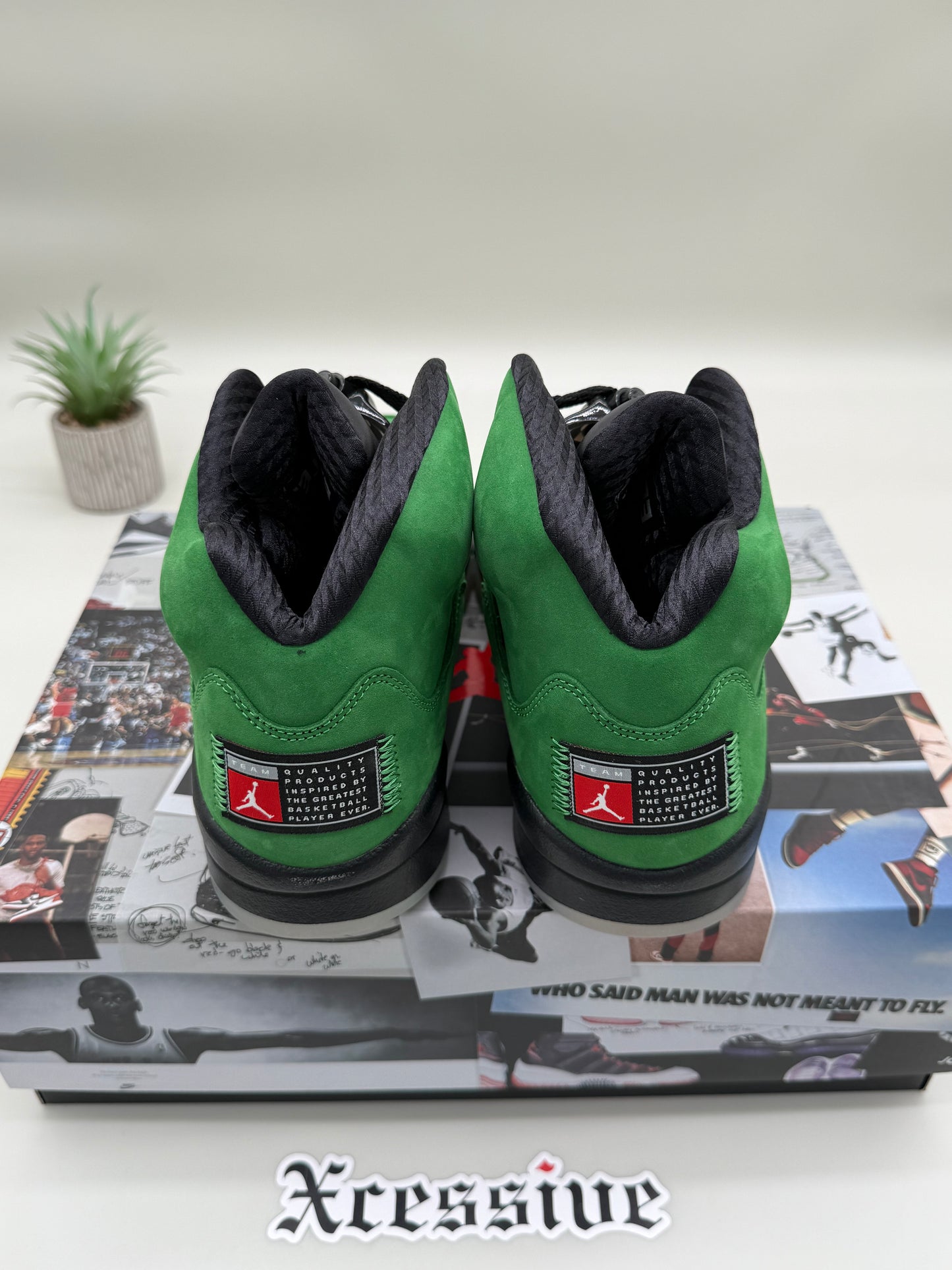 Jordan 5 Oregon