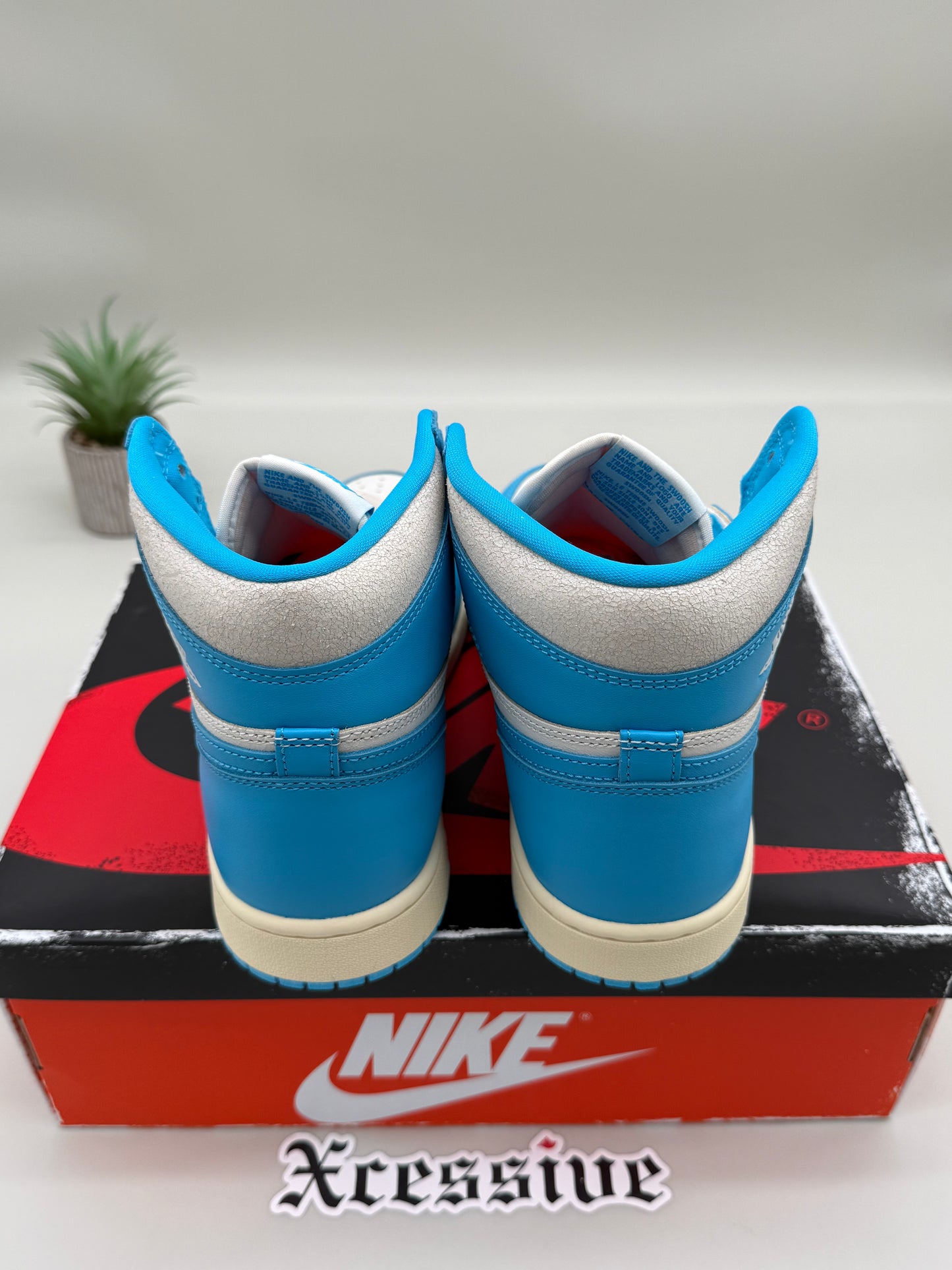 Jordan 1 UNC Reimagined