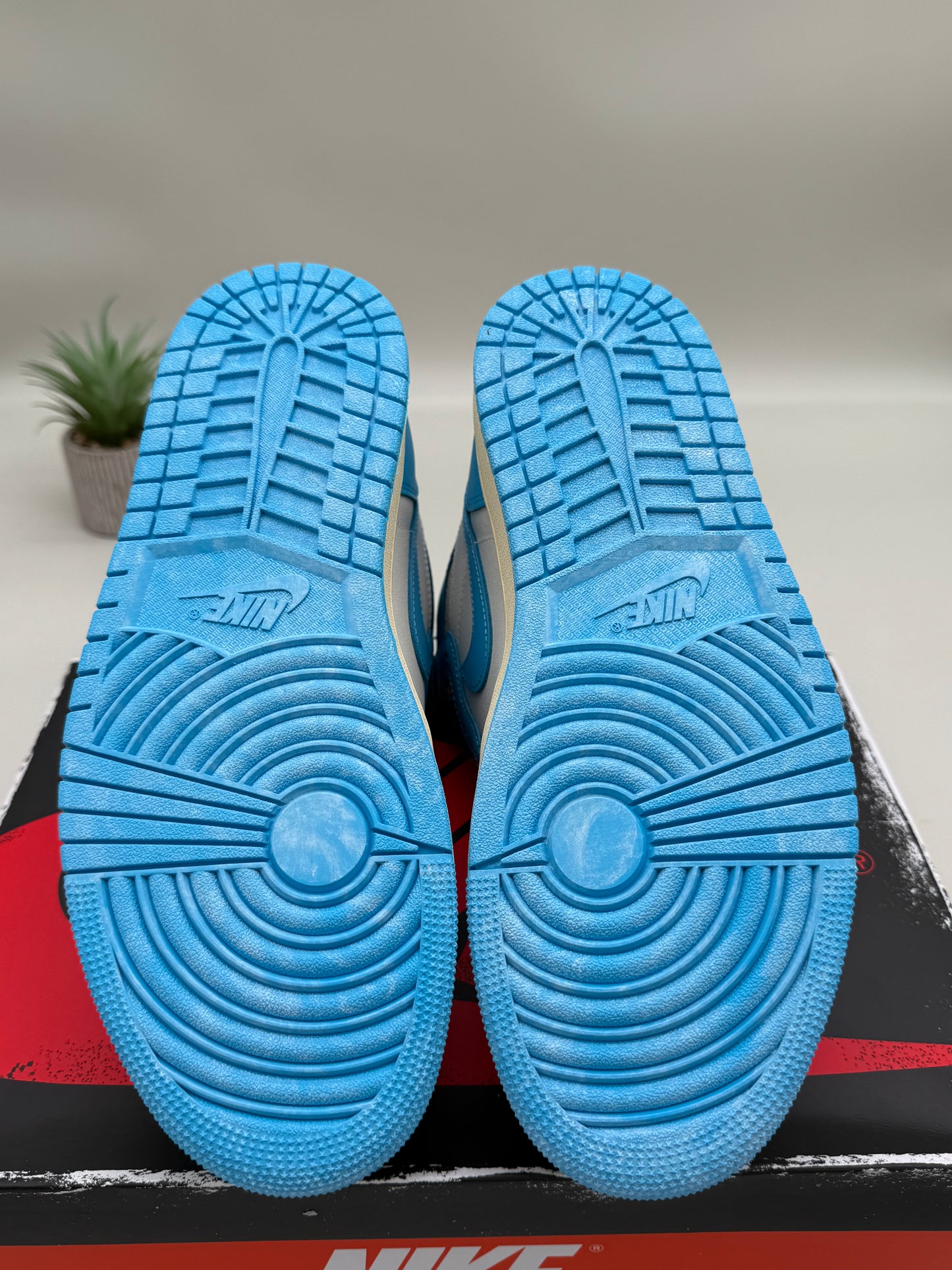 Jordan 1 UNC Reimagined