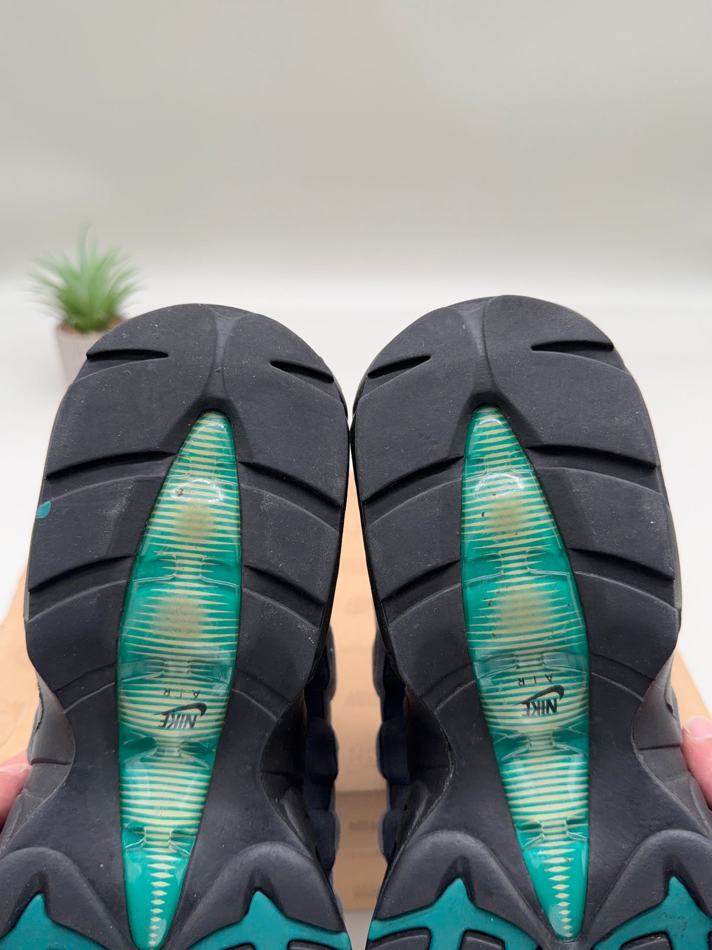 Nike Air Max 95 Freshwater (2009)