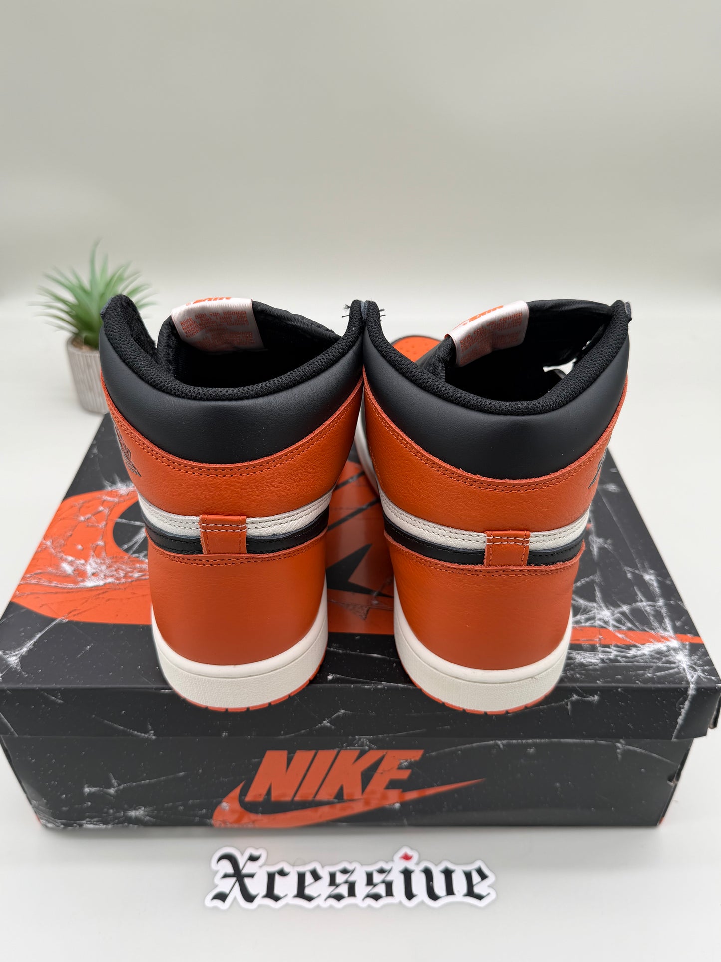Jordan 1 Shattered Backboard