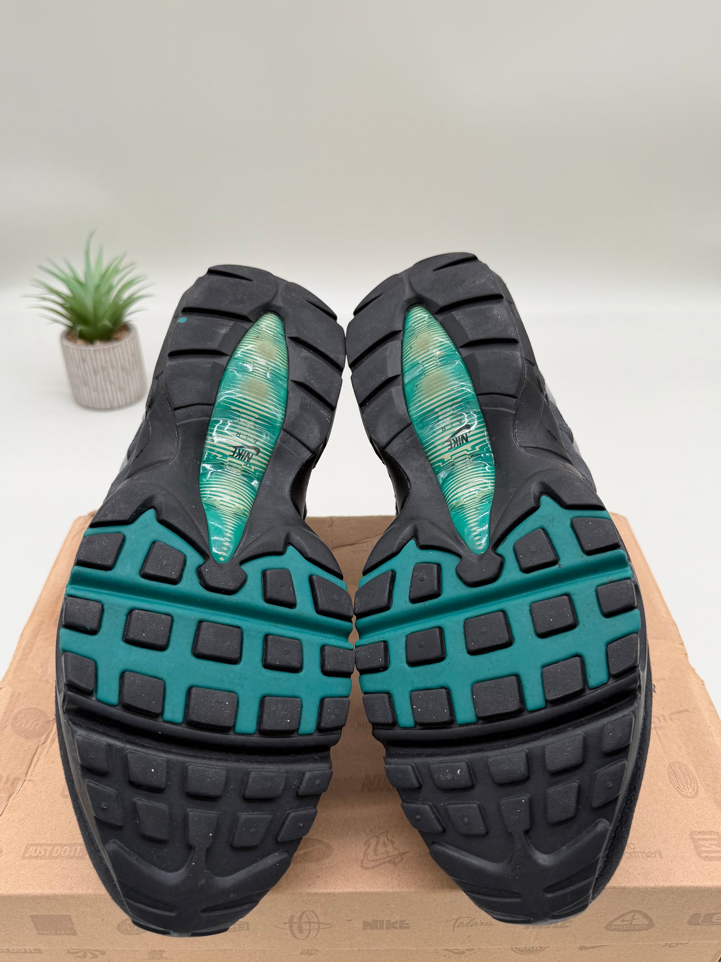 Nike Air Max 95 Freshwater (2009)