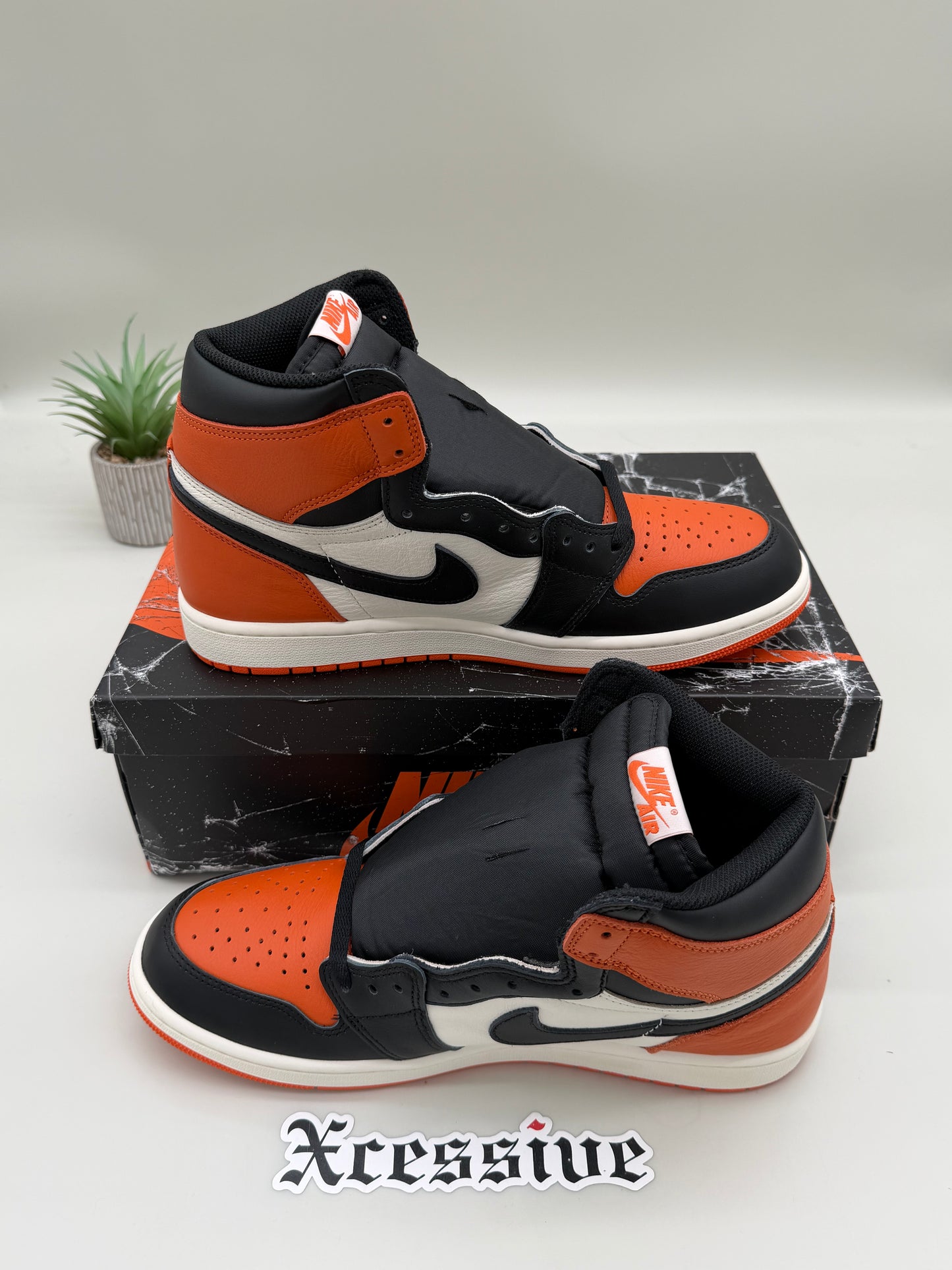 Jordan 1 Shattered Backboard