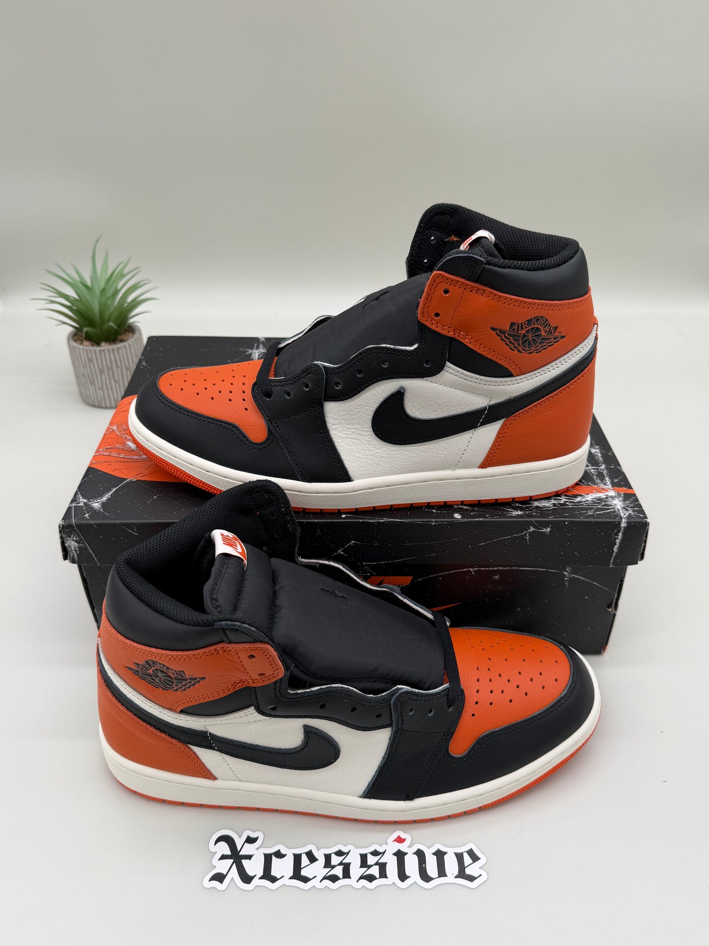 Jordan 1 Shattered Backboard