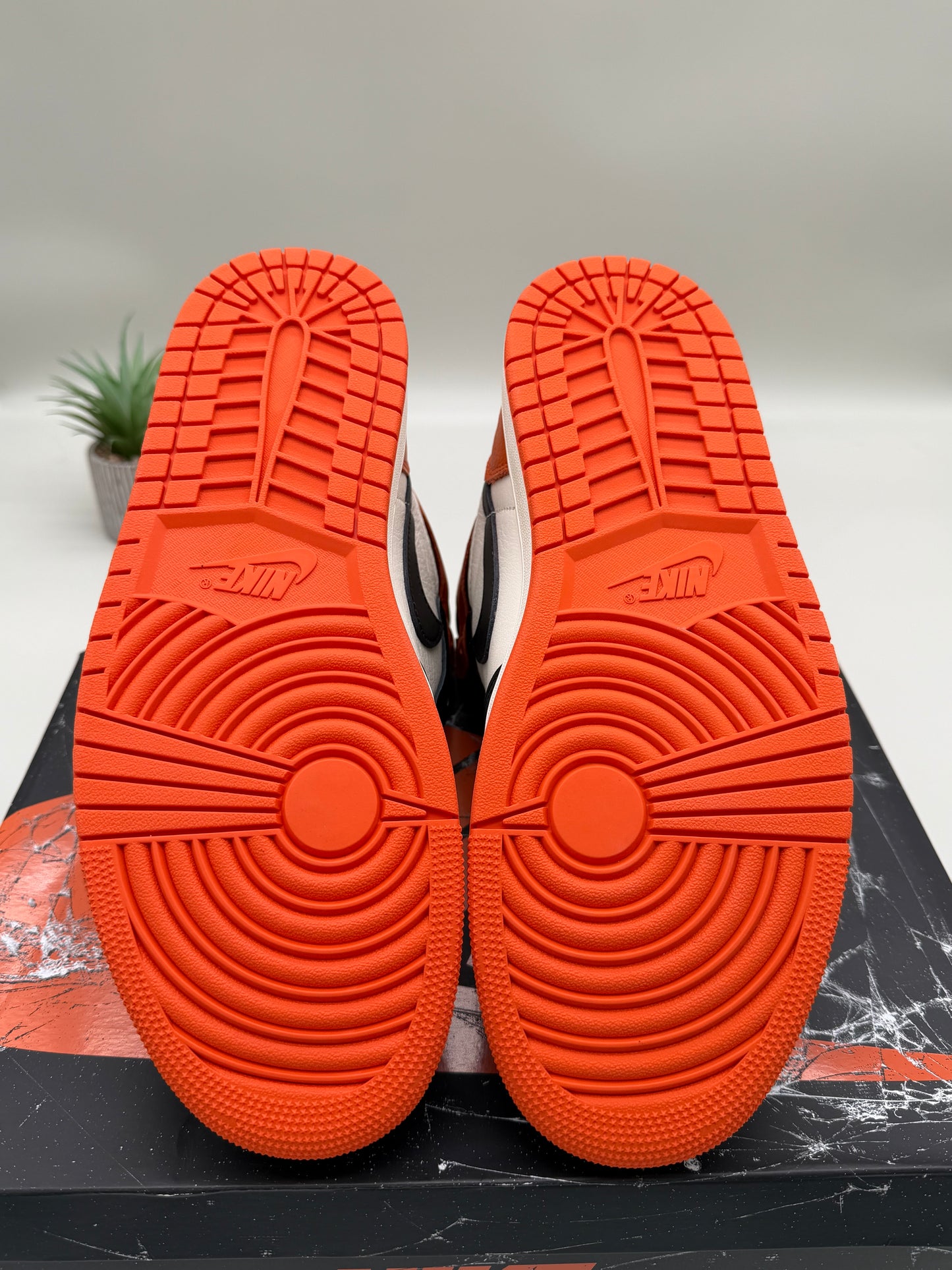 Jordan 1 Shattered Backboard