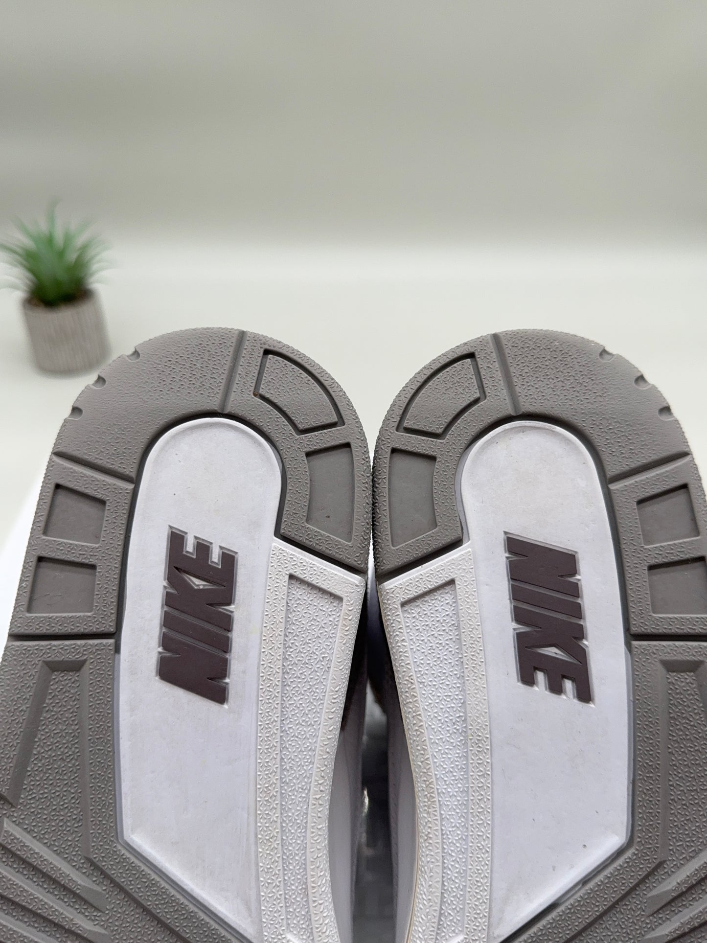 Jordan 3 A Ma Maniére White