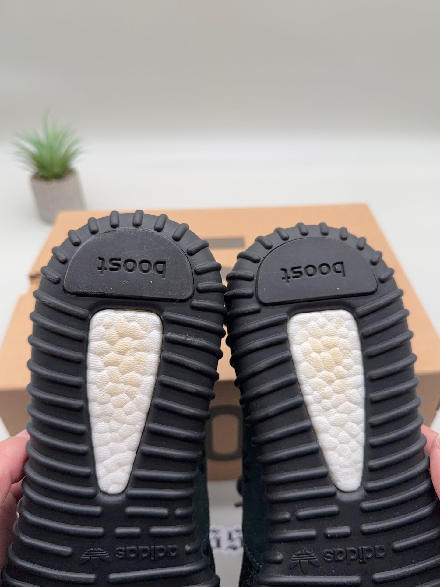 Adidas Yeezy 350 Boost Pirate Black