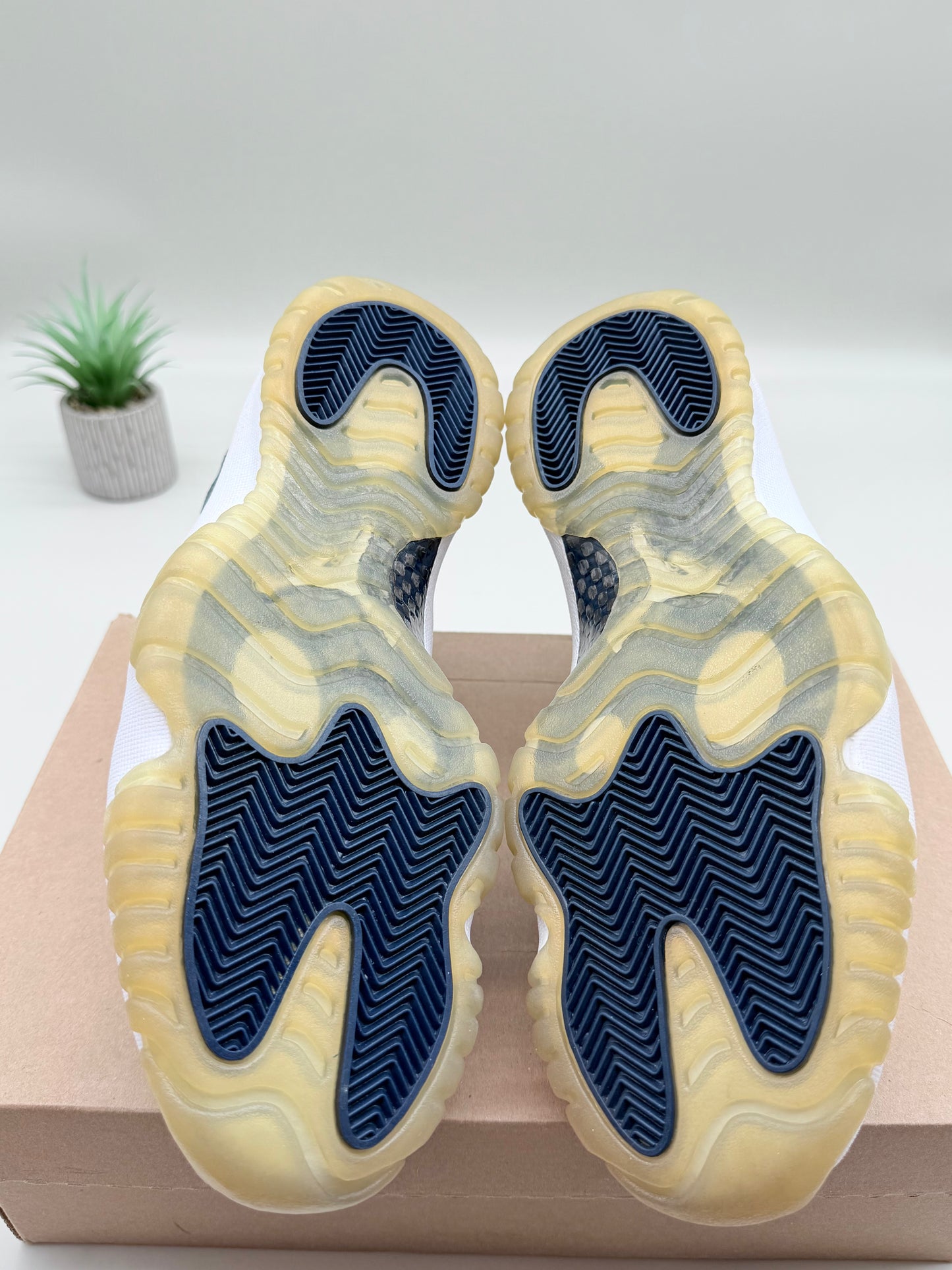Jordan 11 Low Navy Snakeskin