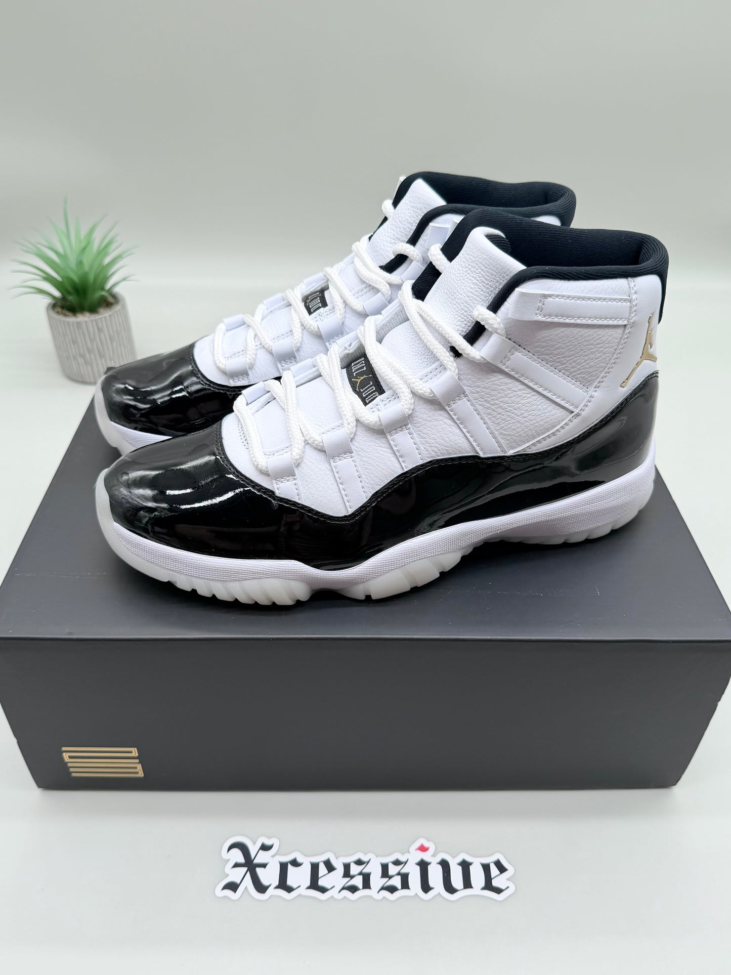 Jordan 11 DMP Gratitude