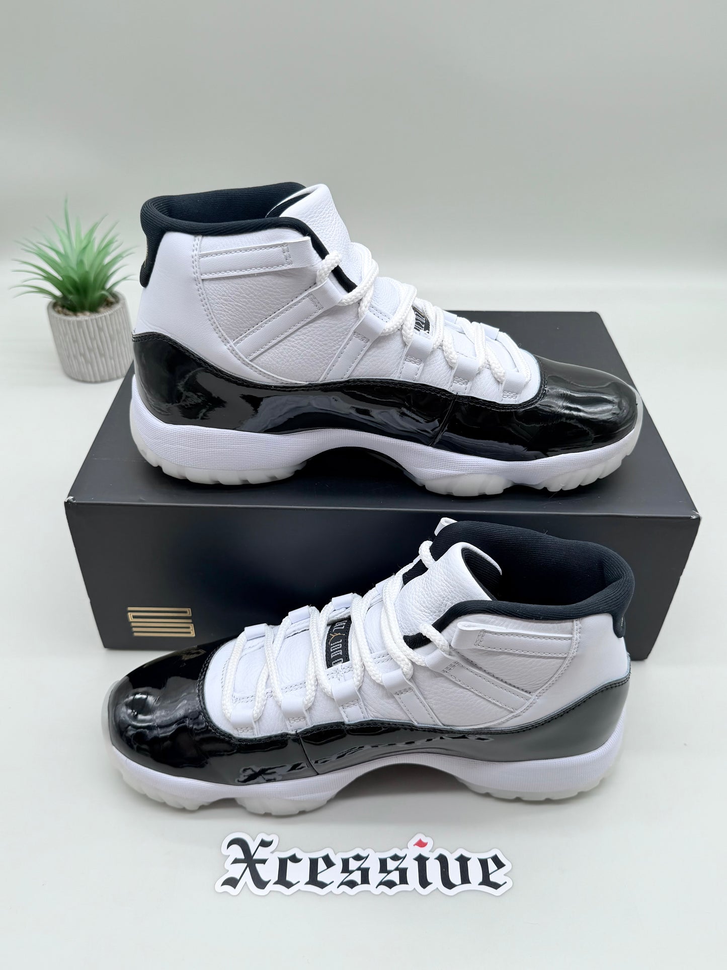 Jordan 11 DMP Gratitude