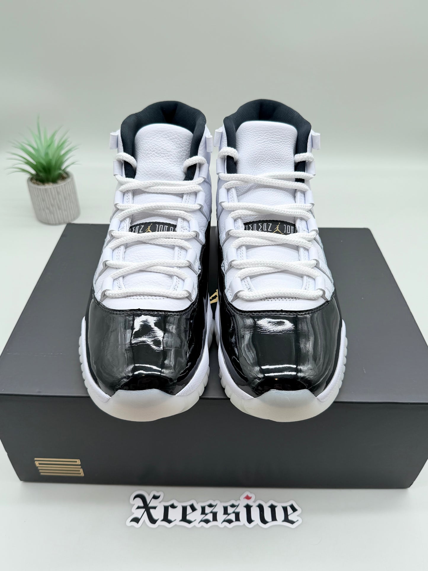 Jordan 11 DMP Gratitude