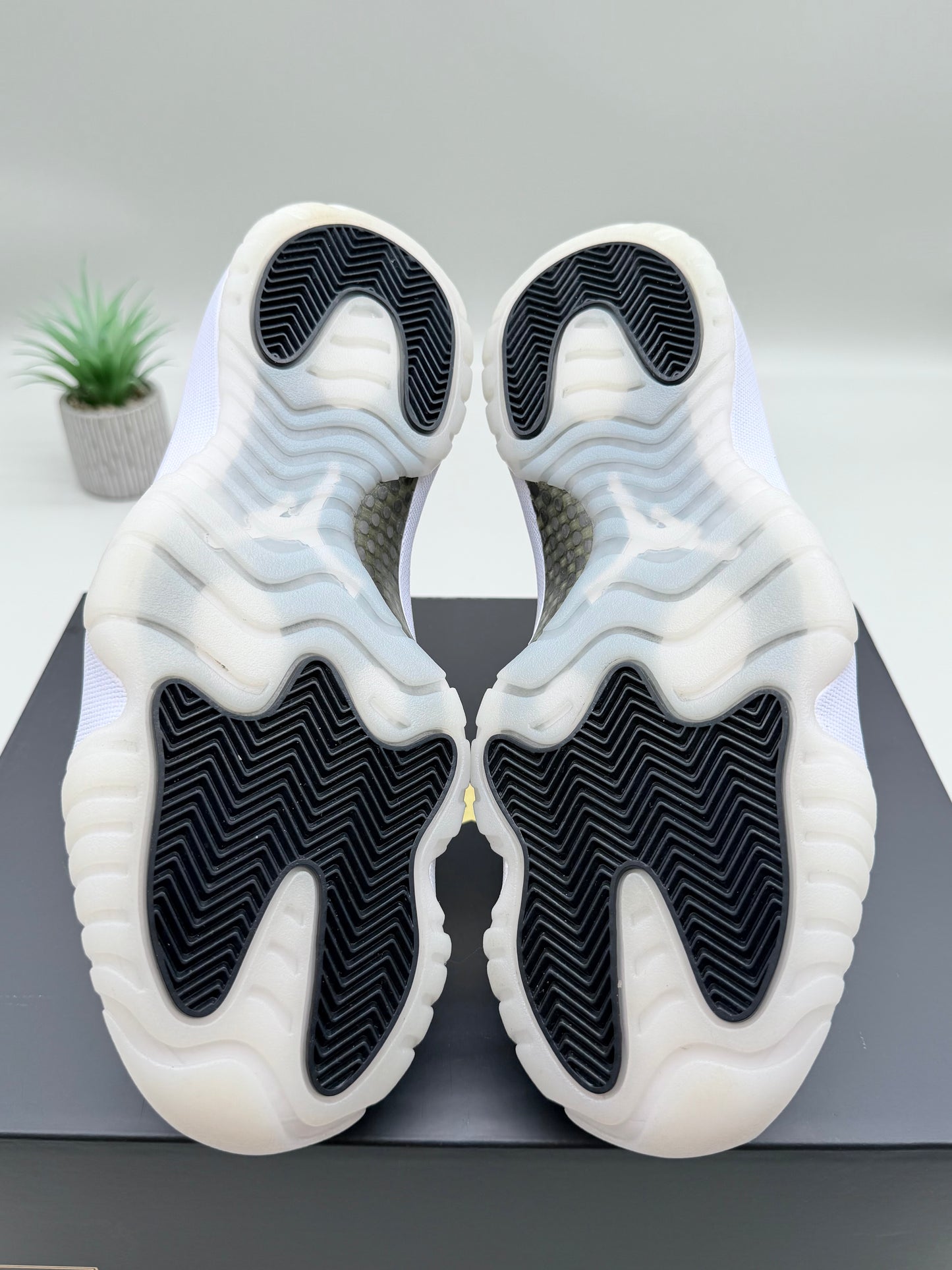 Jordan 11 DMP Gratitude