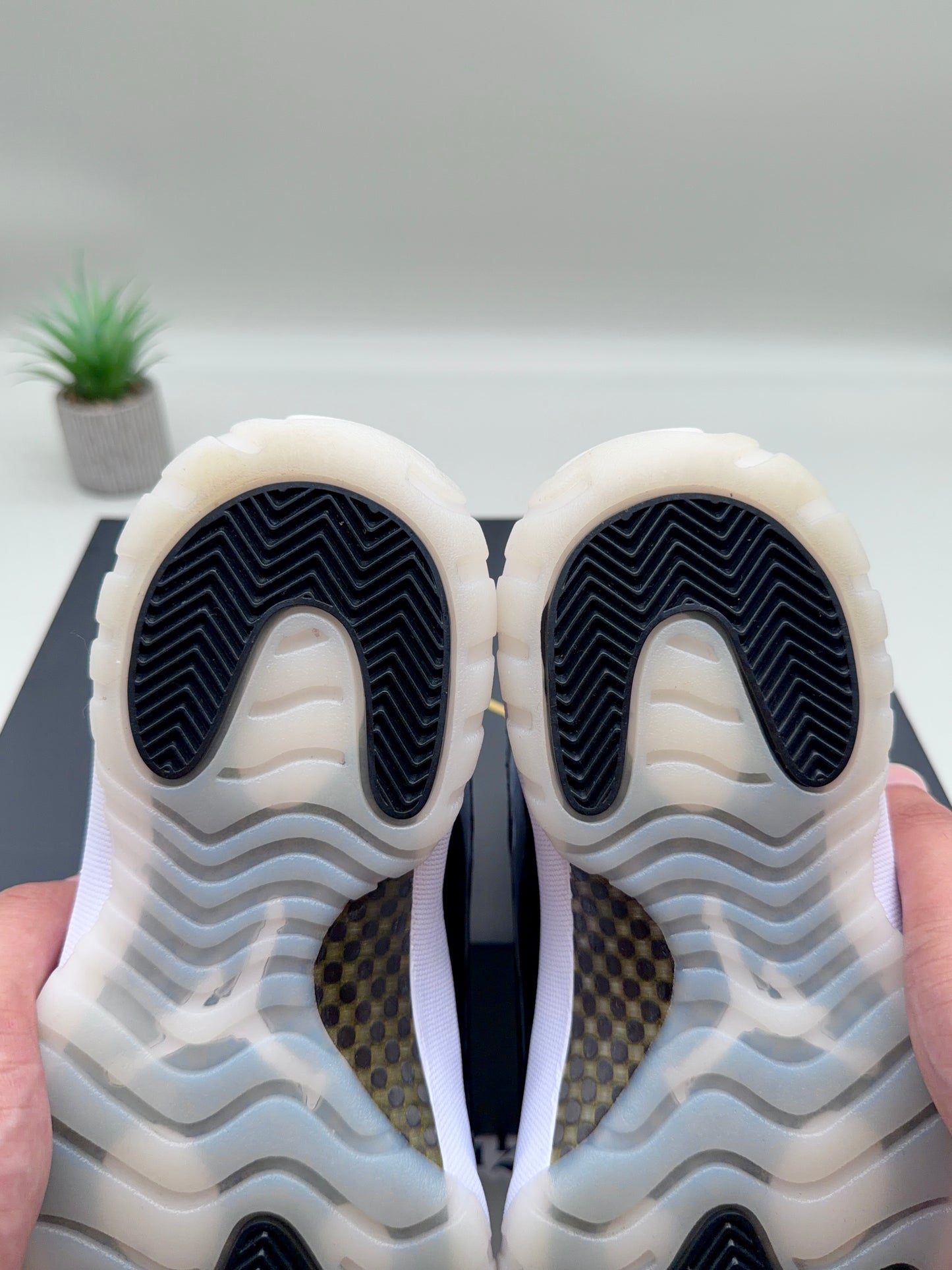 Jordan 11 DMP Gratitude