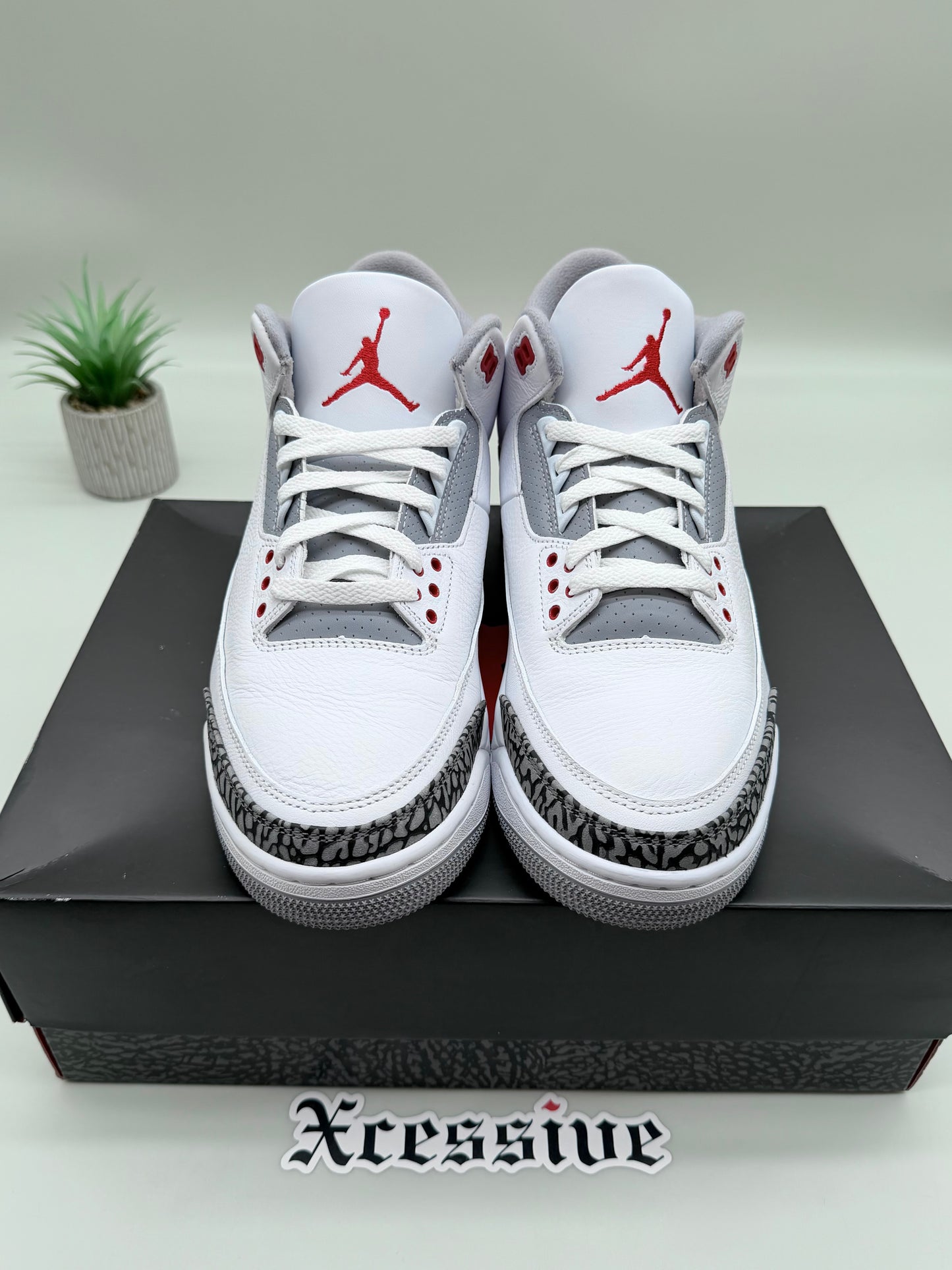 Jordan 3 Fire Red