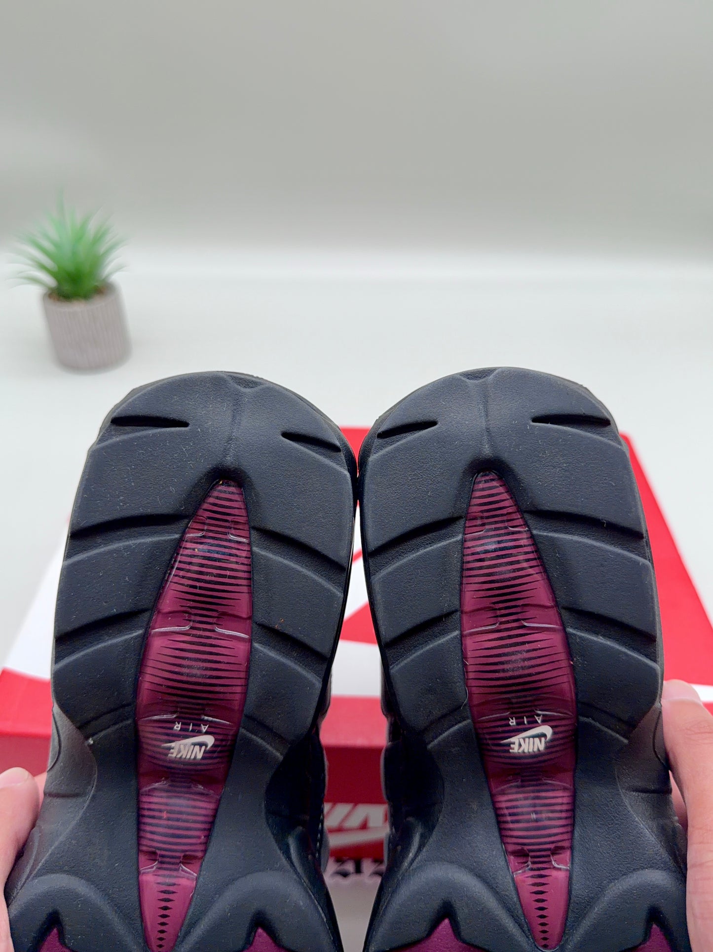 Nike Air Max 95 Beetroot