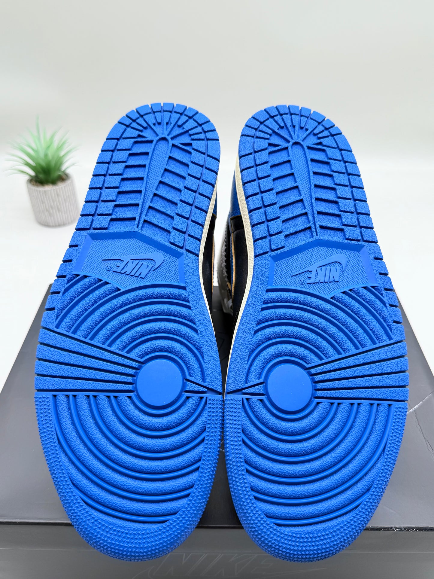 Jordan 1 Fragment x Union Sport Royal