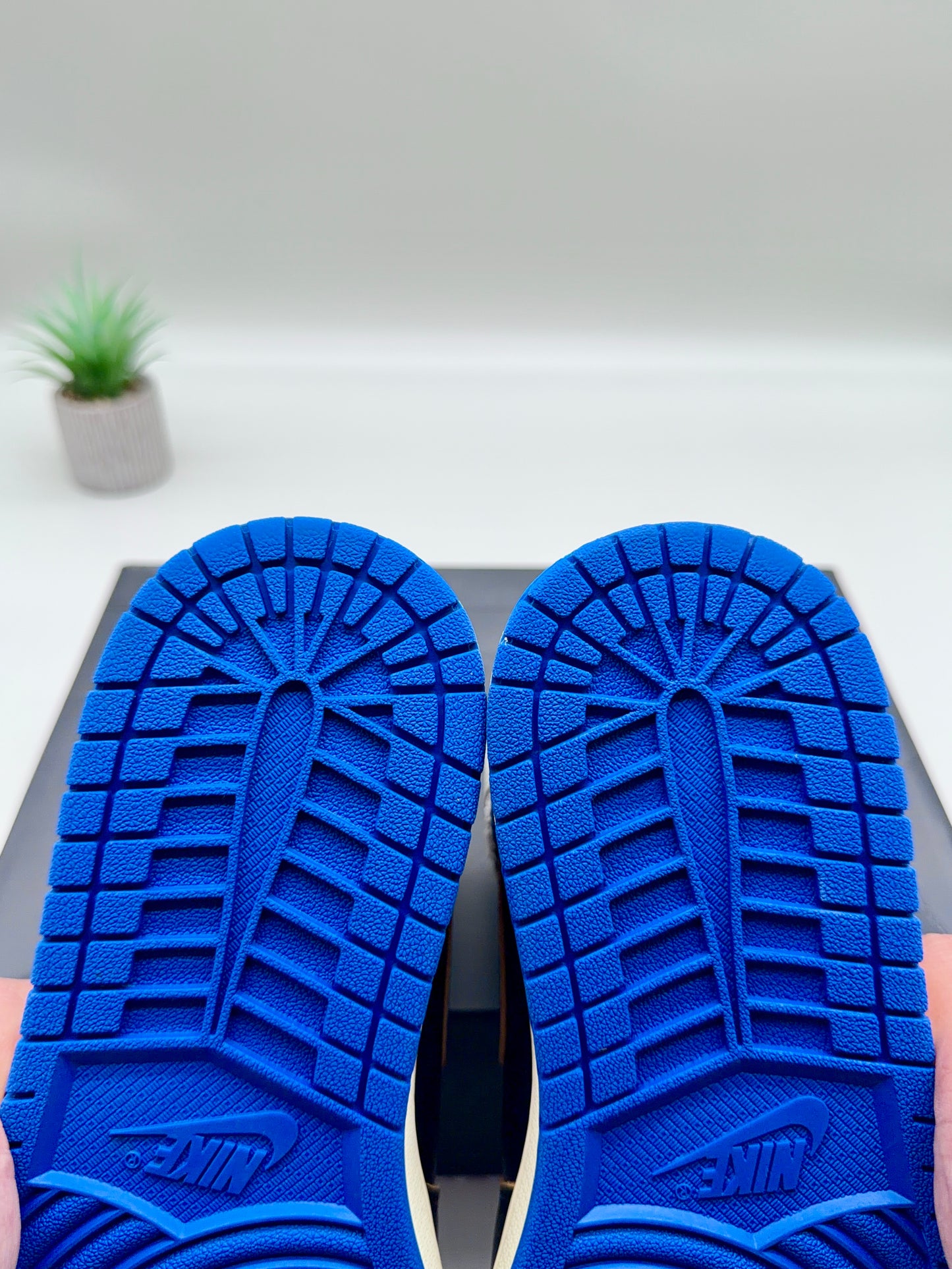 Jordan 1 Fragment x Union Sport Royal