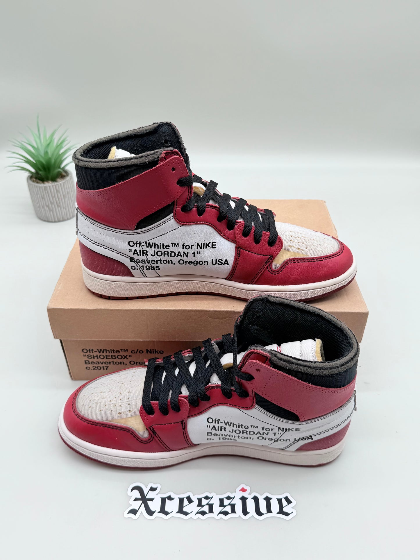 Off-White Jordan 1 Chicago