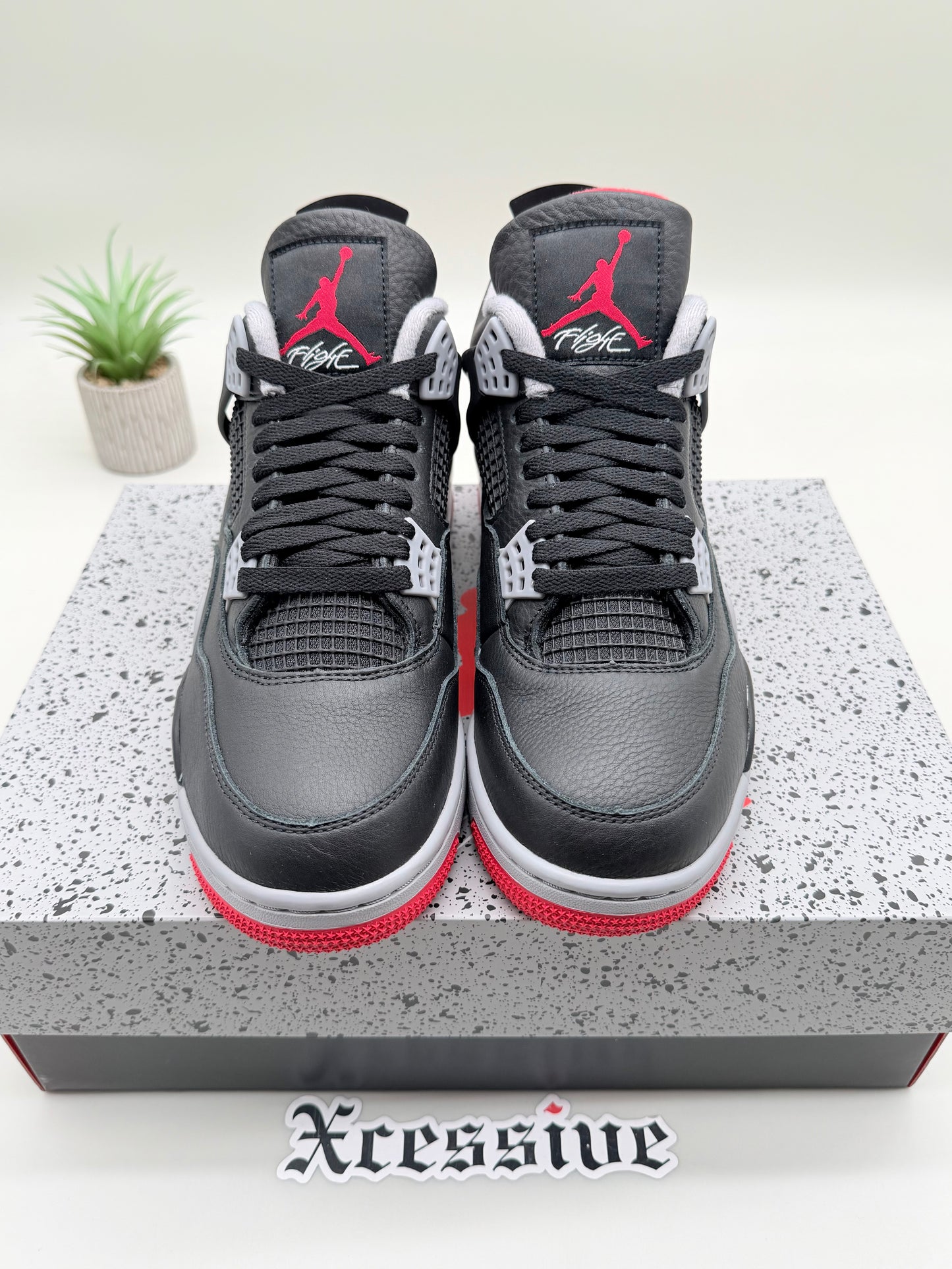 Jordan 4 Bred Reimagined