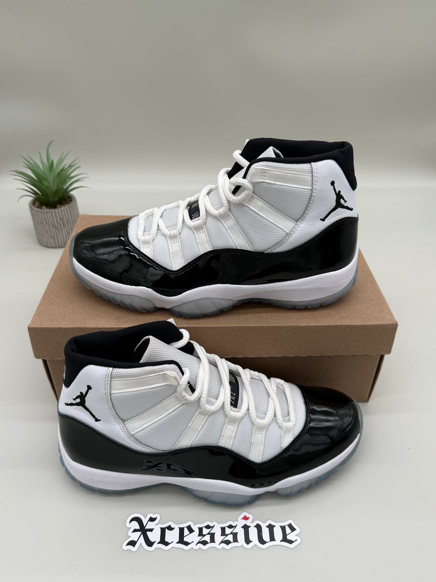 Jordan 11 Concord