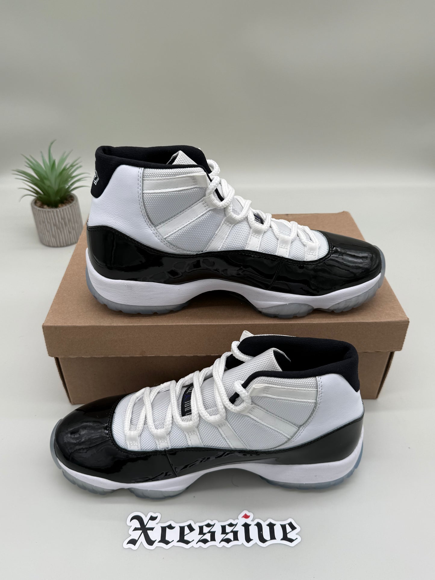 Jordan 11 Concord