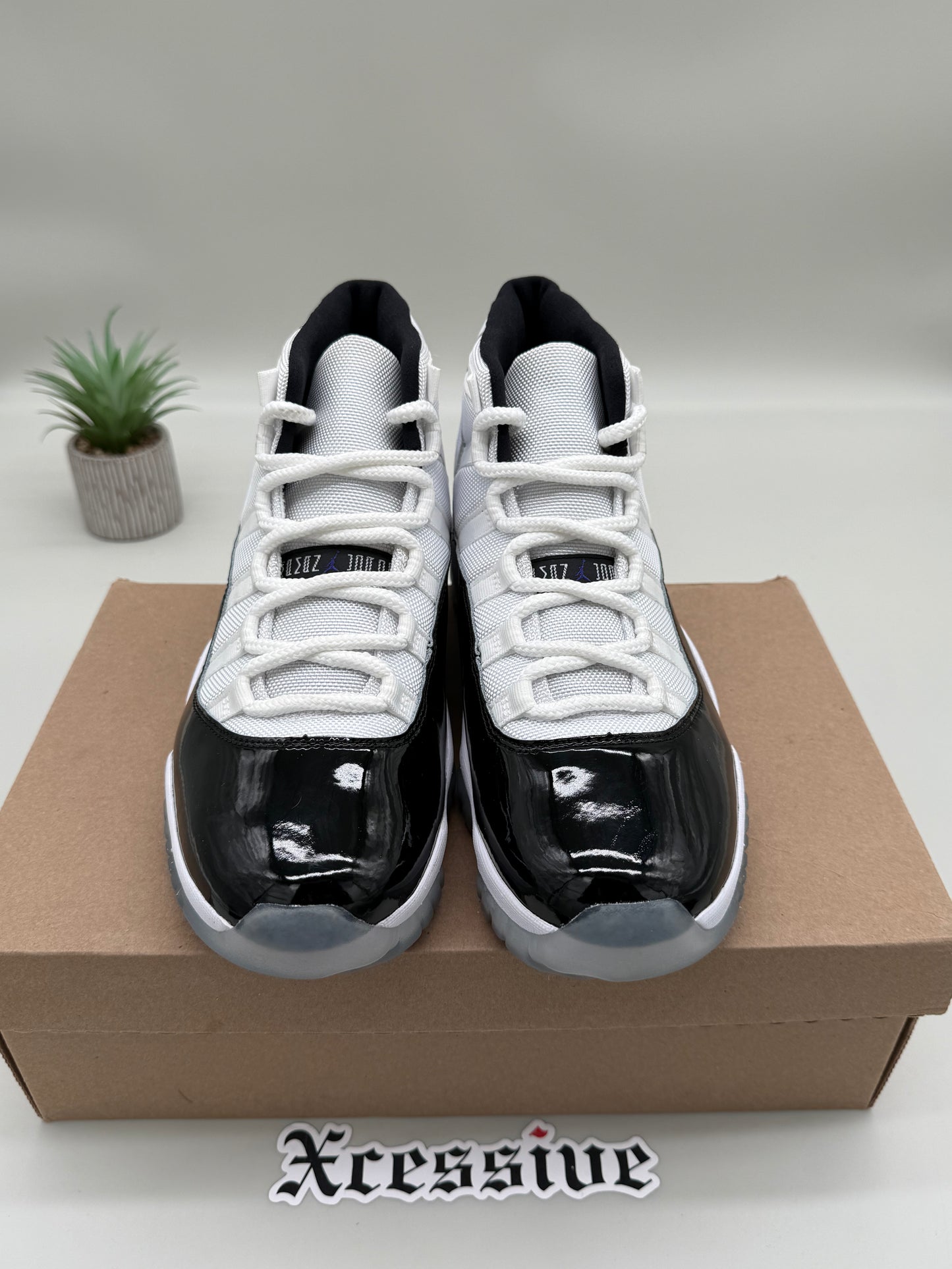 Jordan 11 Concord