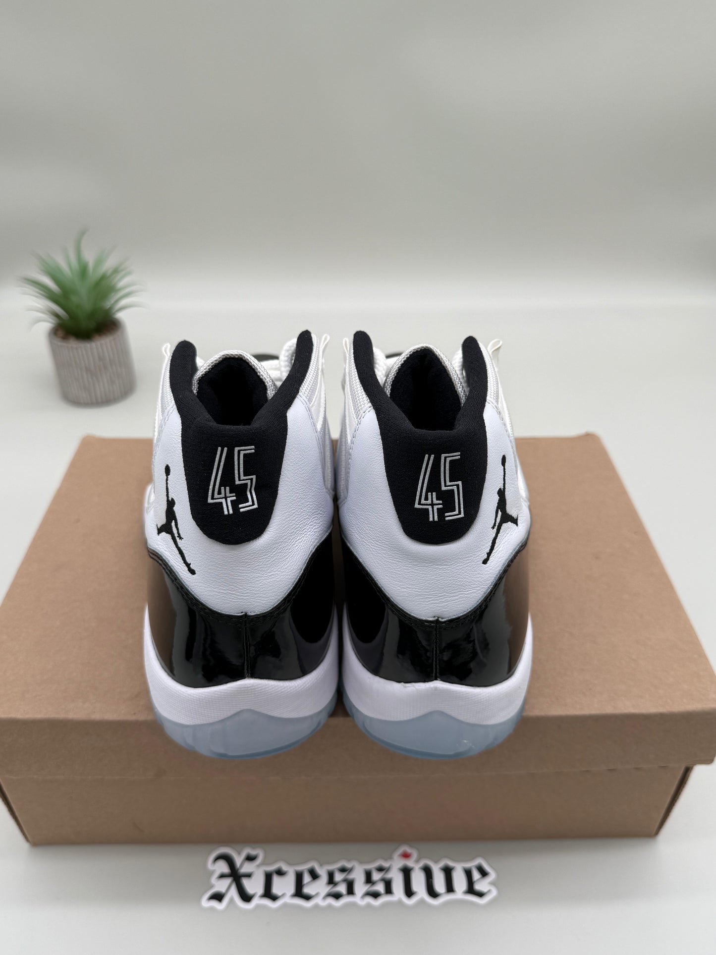 Jordan 11 Concord
