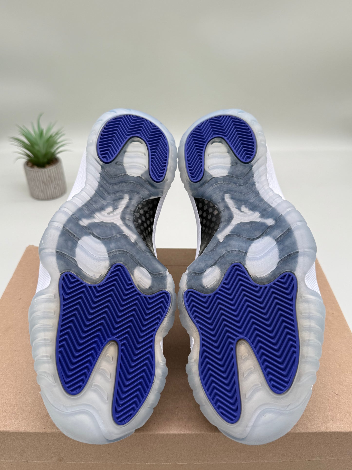 Jordan 11 Concord