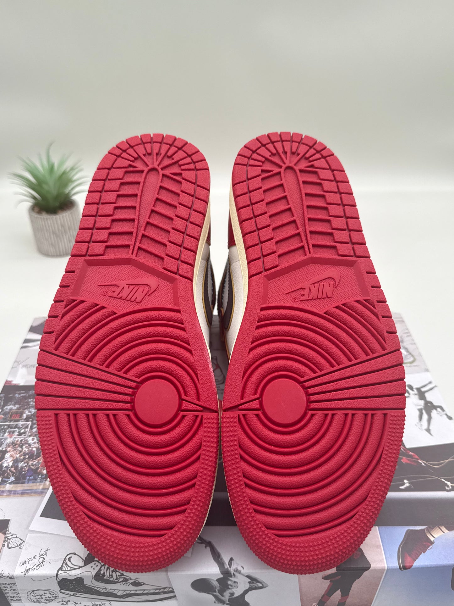 Jordan 1 Union Chicago Shadow