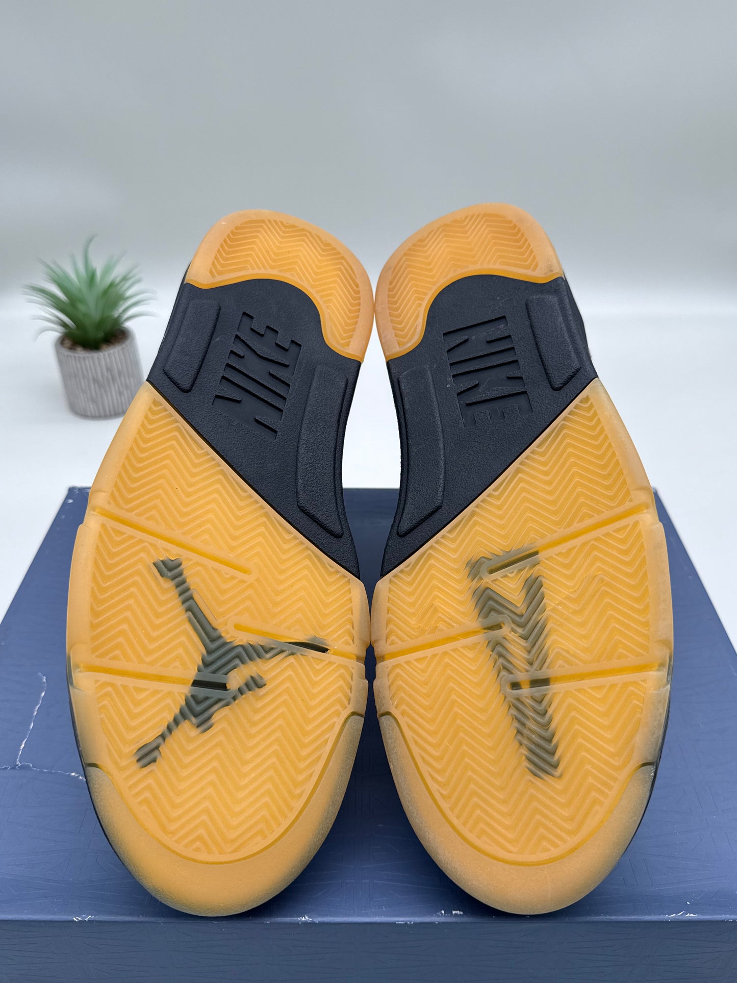 Jordan 5 A Ma Maniére Dawn