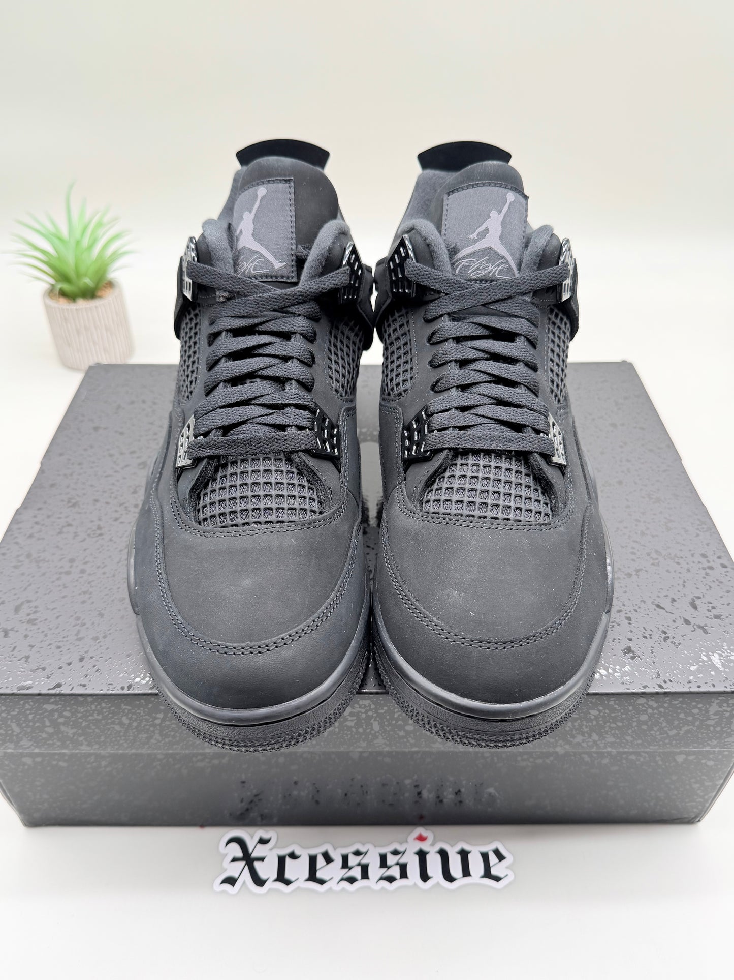 Jordan 4 Black Cat