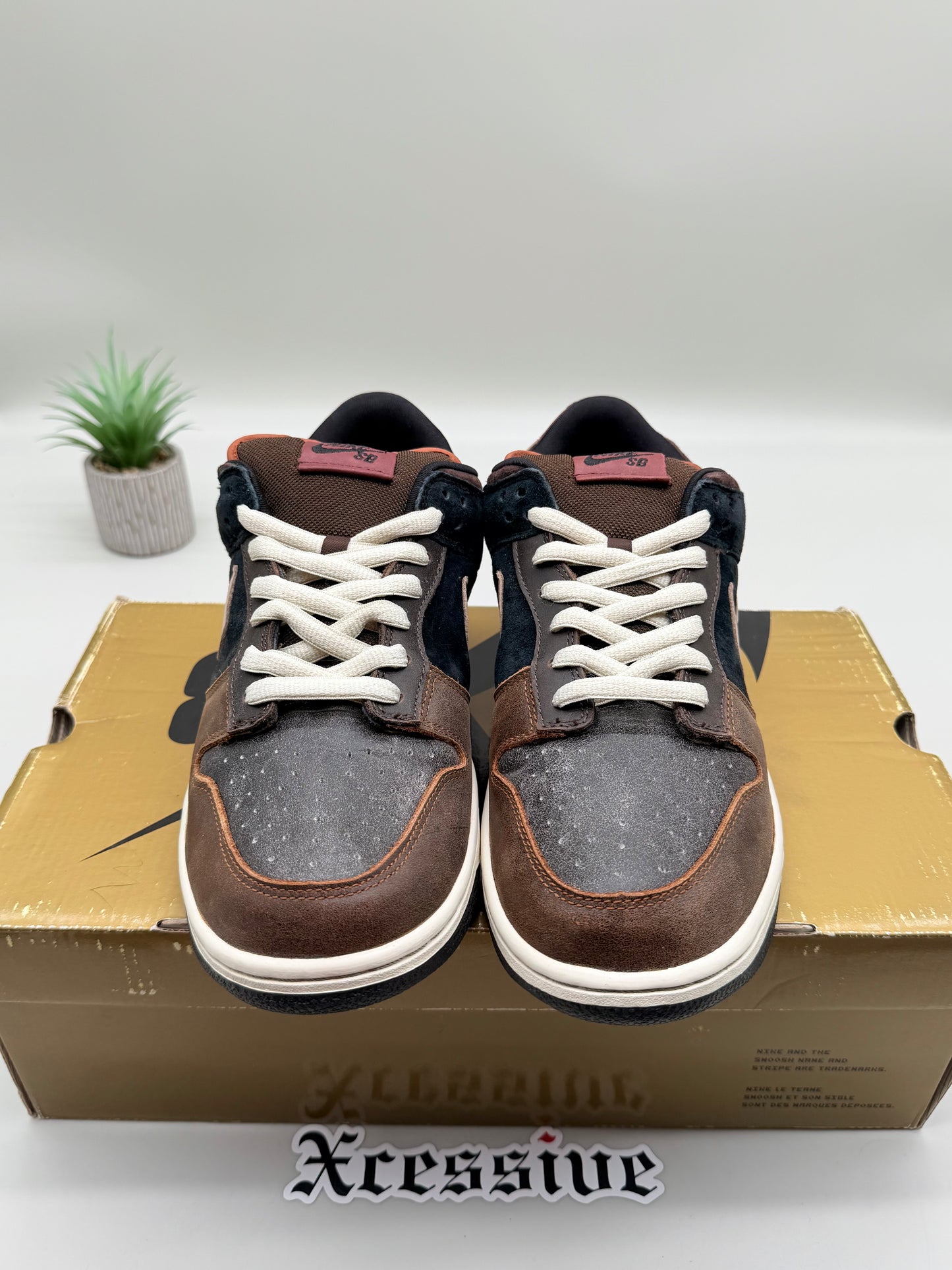 Nike SB Dunk Low Strummer