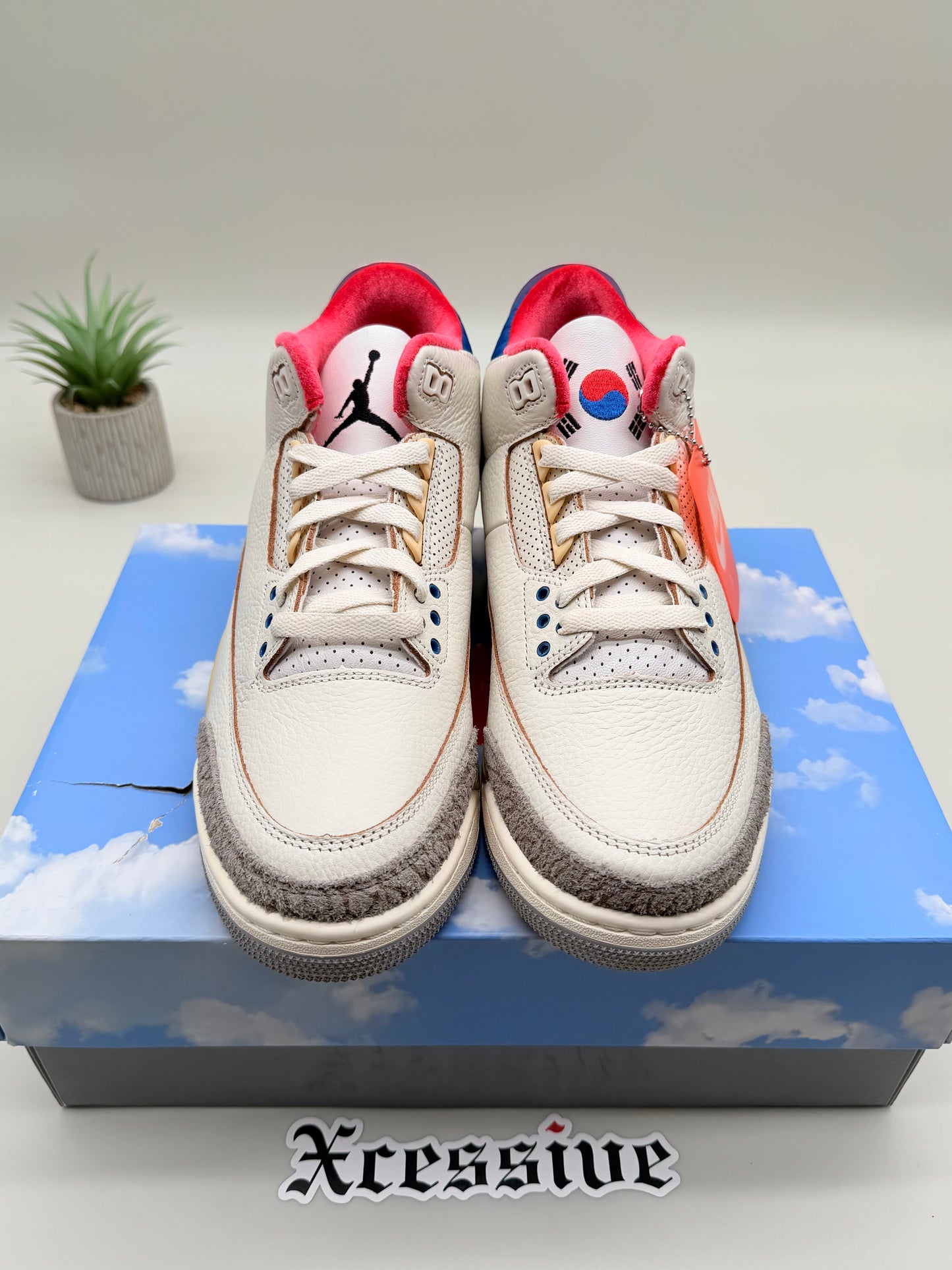 Jordan 3 Seoul 2.0